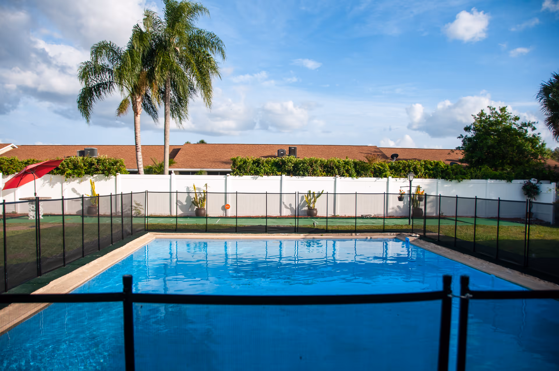 Outdoor swimming pool surrounded by a black safety fence, with palm trees, a white privacy fence and rooftops in the background.
