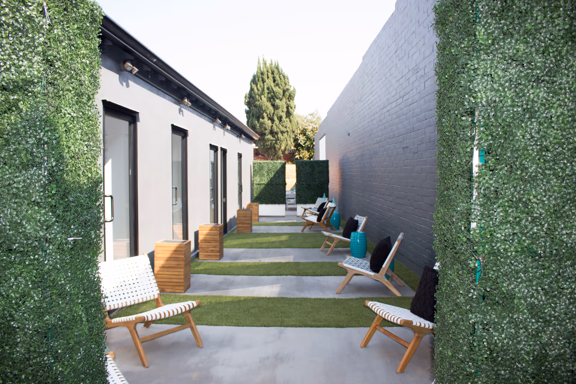 Outdoor courtyard with lounge chairs, hedges, and modern walls at Magnus Care facility.
