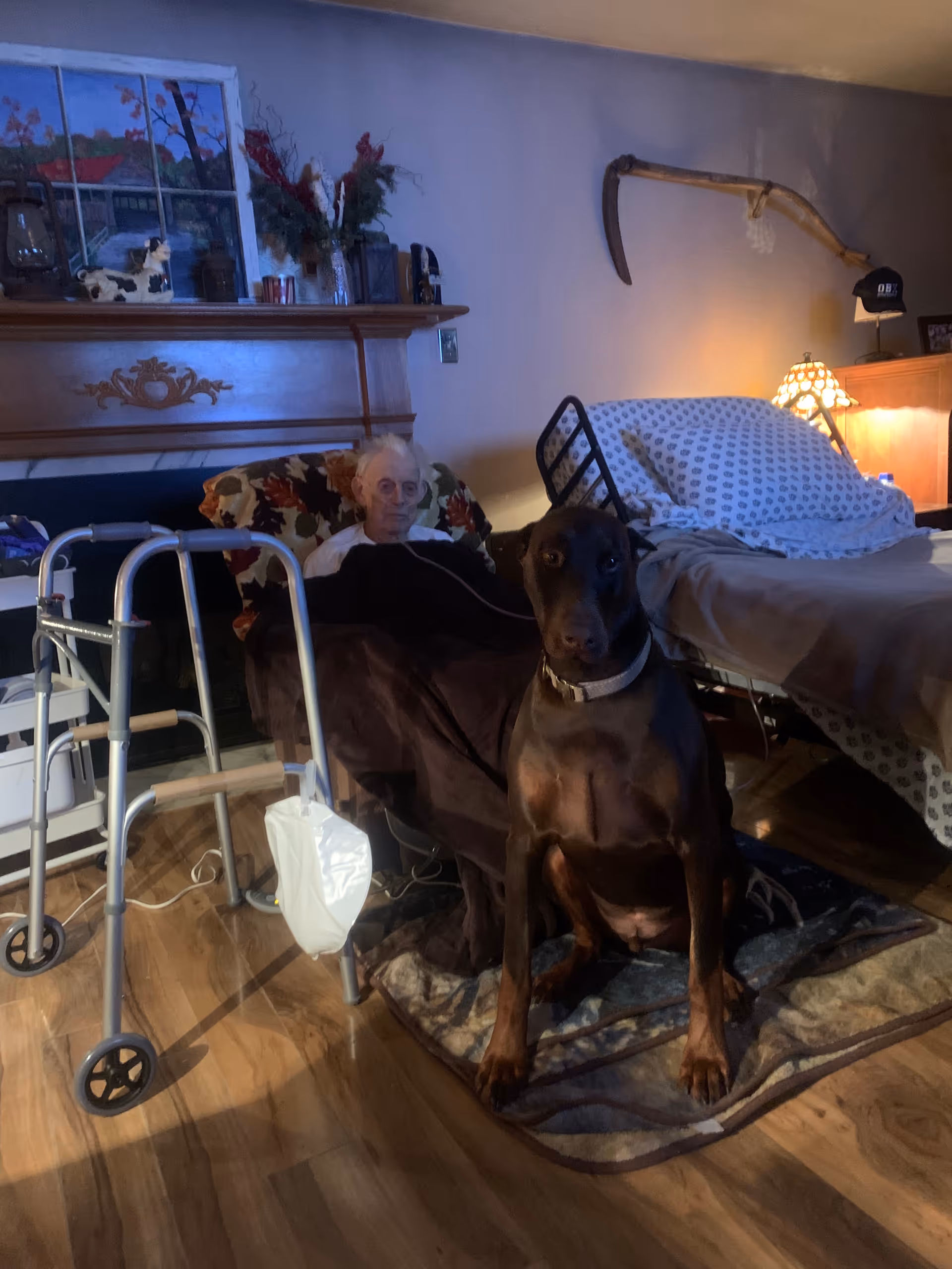Elderly resident rests in bed with a large dog nearby in a cozy bedroom.