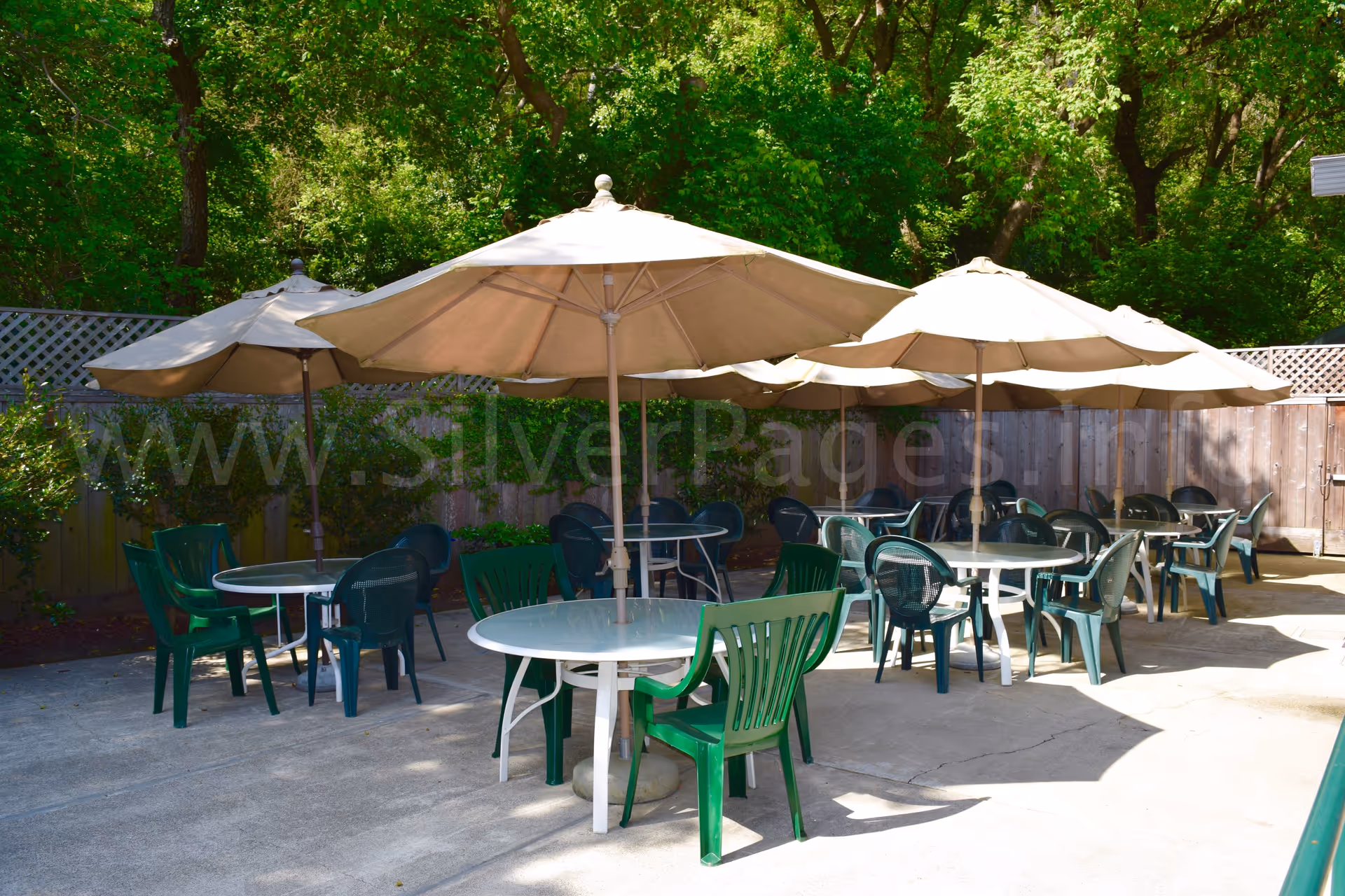 Outdoor patio with round tables, plastic chairs, and large umbrellas under trees.