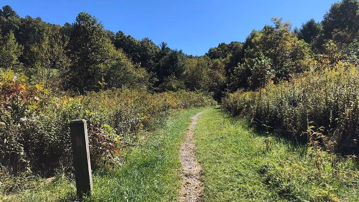 Sunny outdoor trail winds through grassy fields with trees on both sides.