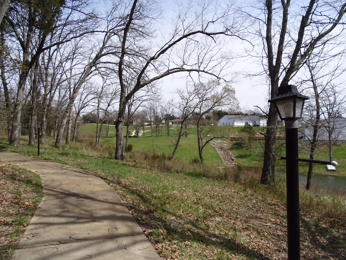 Curved concrete path through leafless trees beside a lamp post, grassy area, and pond.
