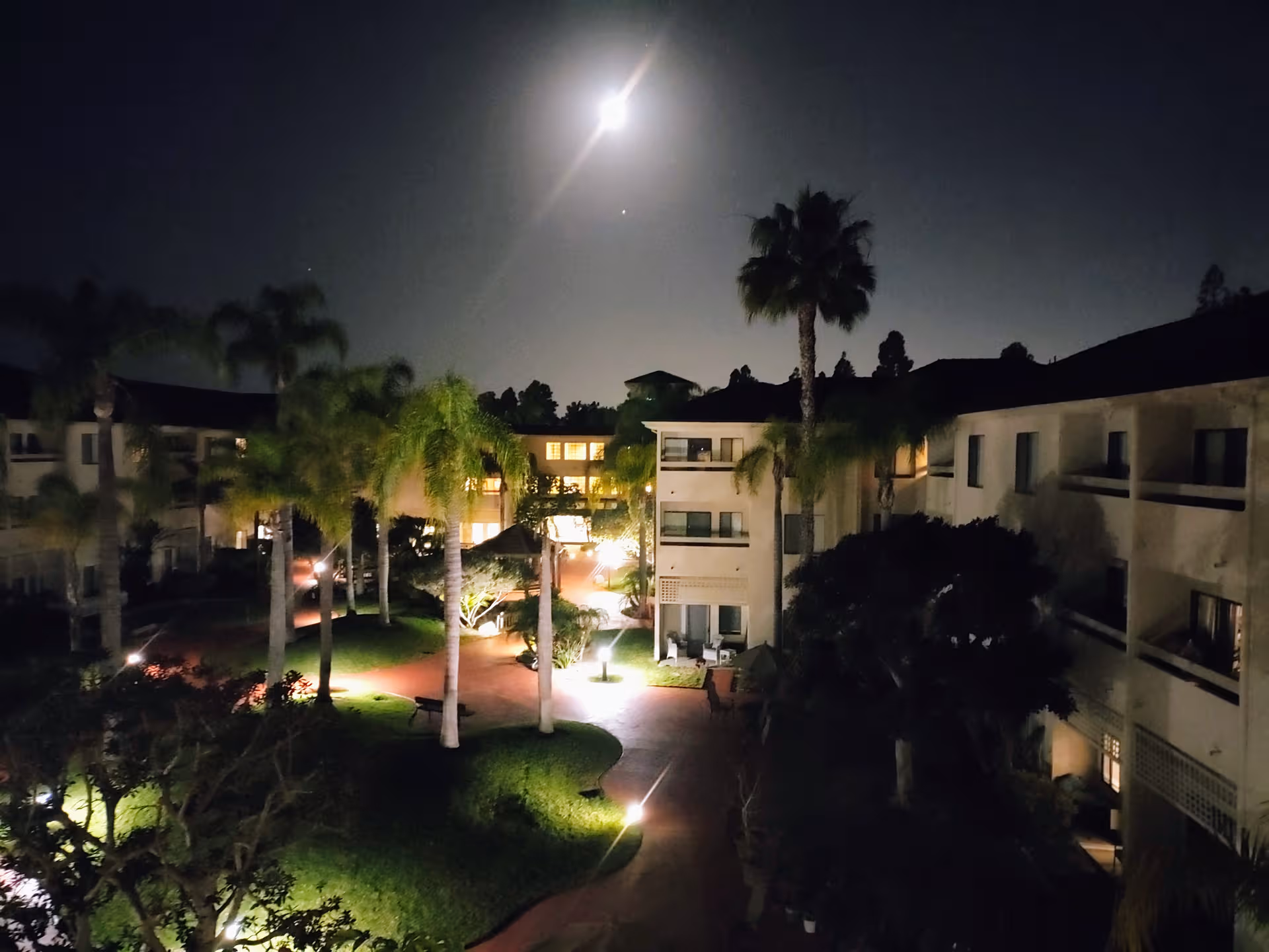 Night view of Brookdale Irvine exterior with palm trees and illuminated walkways.