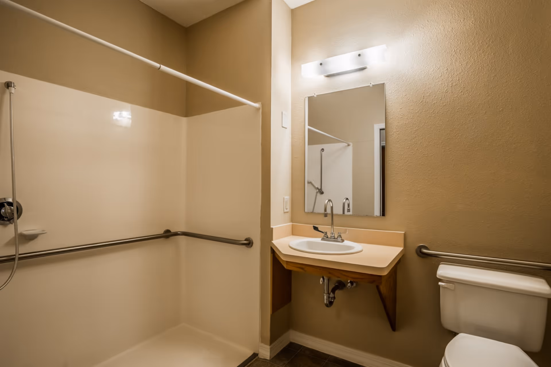 Accessible bathroom with a walk-in shower, horizontal grab bars, a sink with mirror and light, and a toilet.