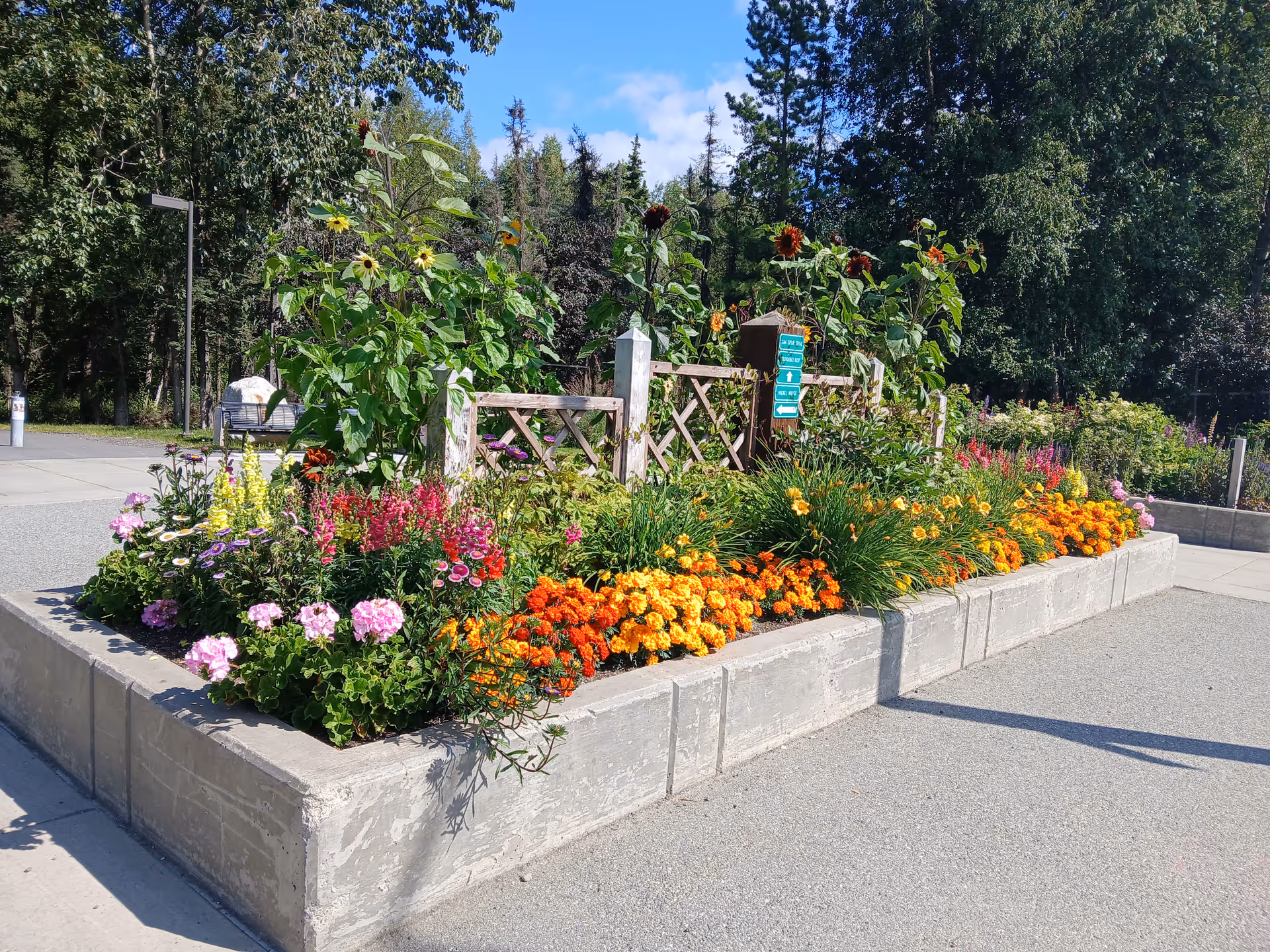 Colorful flower garden in a raised concrete planter outdoors.