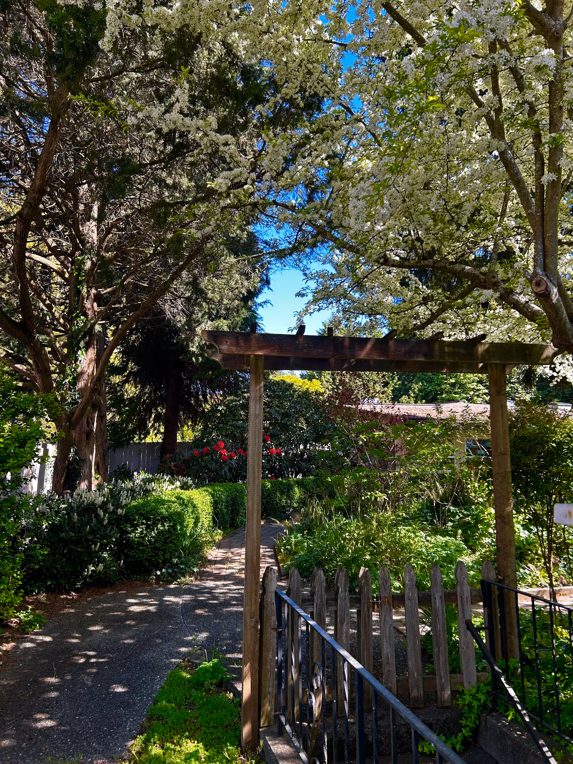 A sunlit garden path with a wooden arbor, greenery, and flowering trees.
