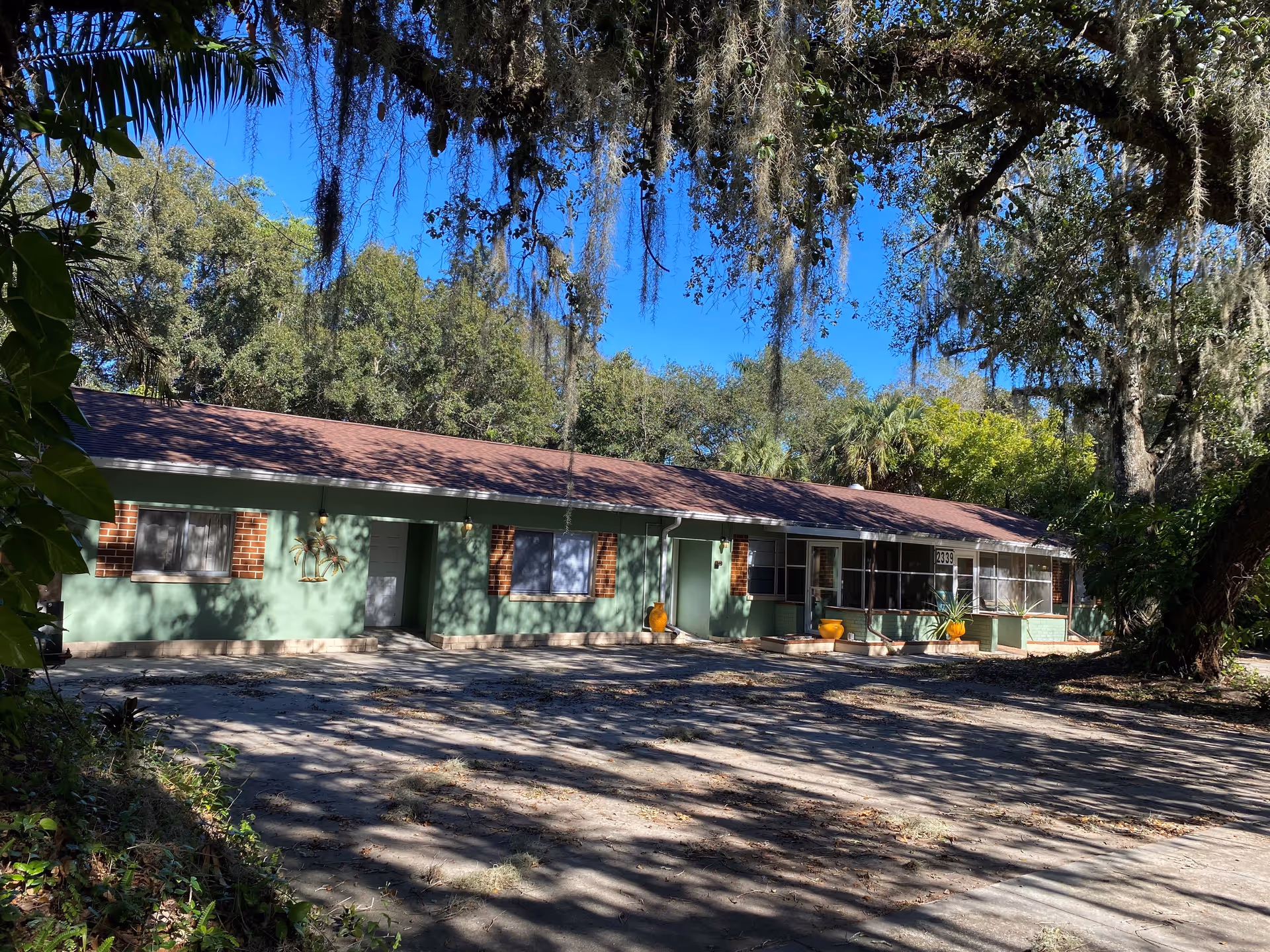 Single-story green building with a screened porch, potted plants, and a shaded driveway beneath hanging Spanish moss.
