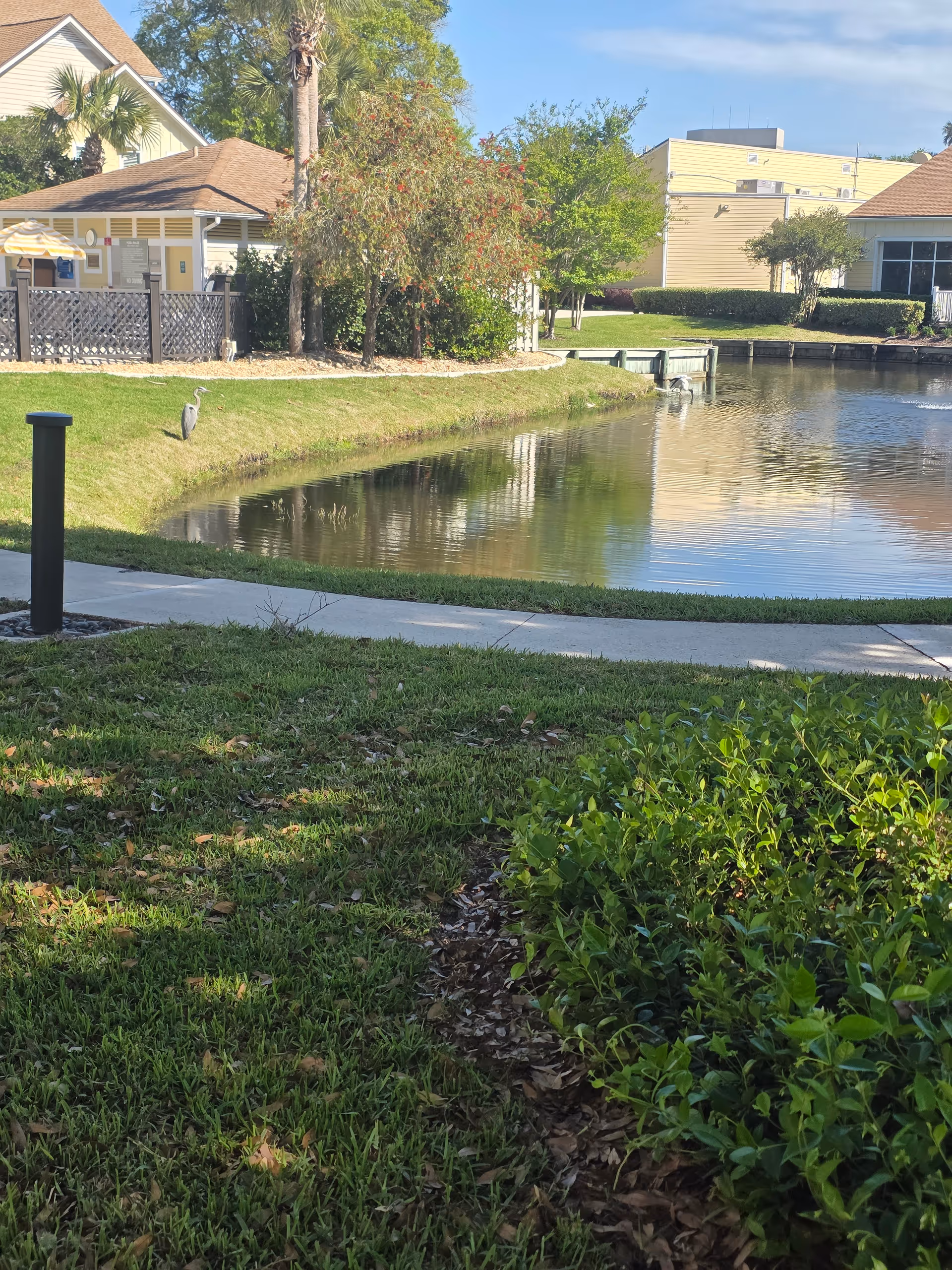 Lush lawn, pond, and walkway beside a senior living facility exterior.