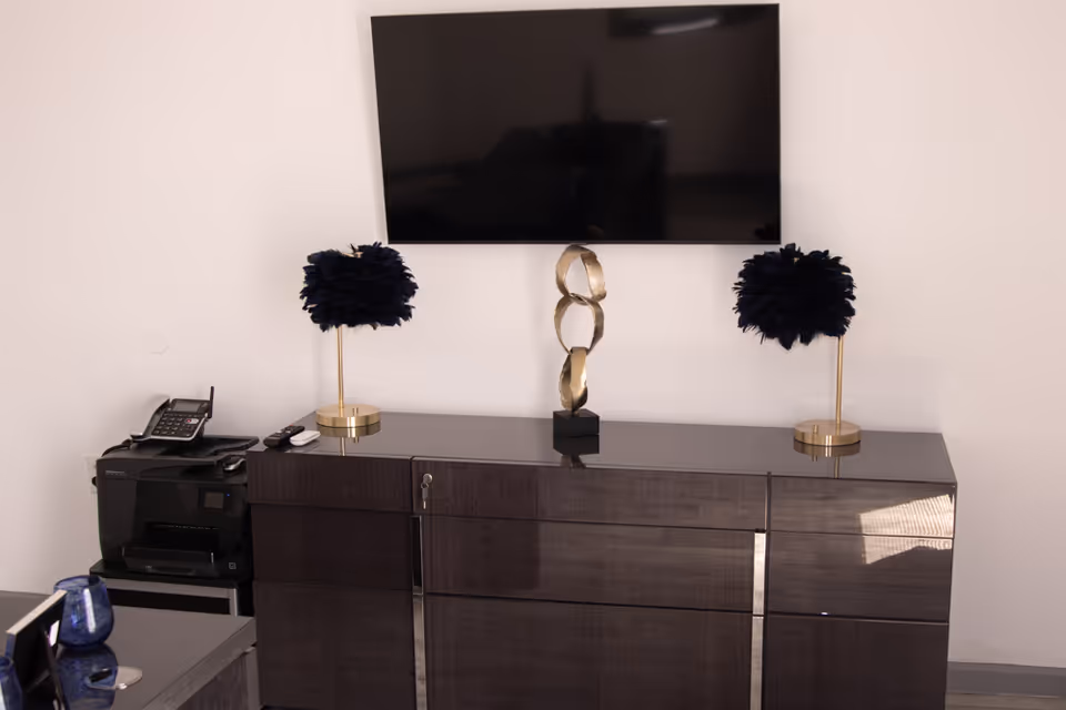TV above dark cabinet with central sculpture and two black feathered lamps