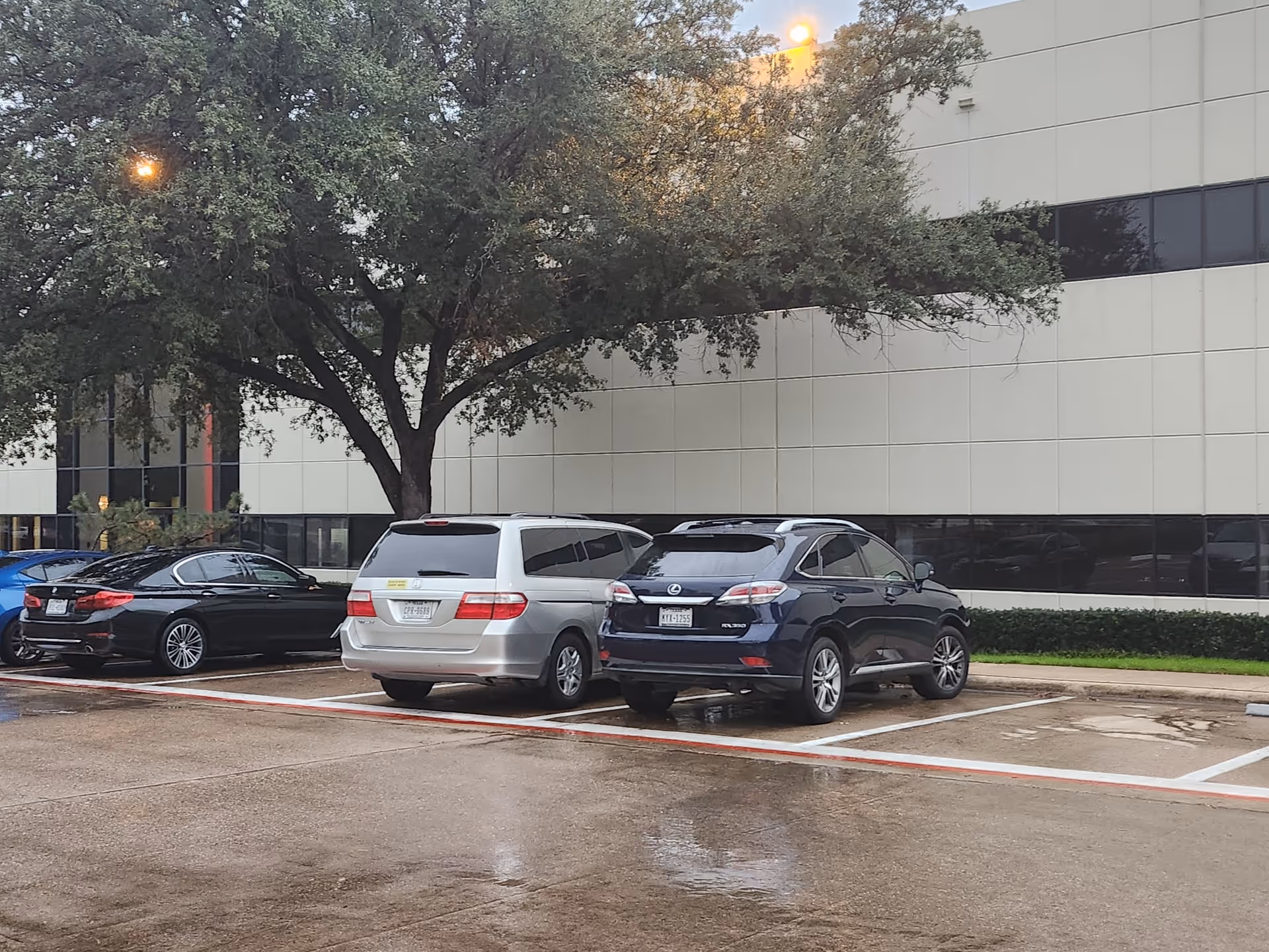Exterior view of a building with a parking lot, large tree, and parked cars.
