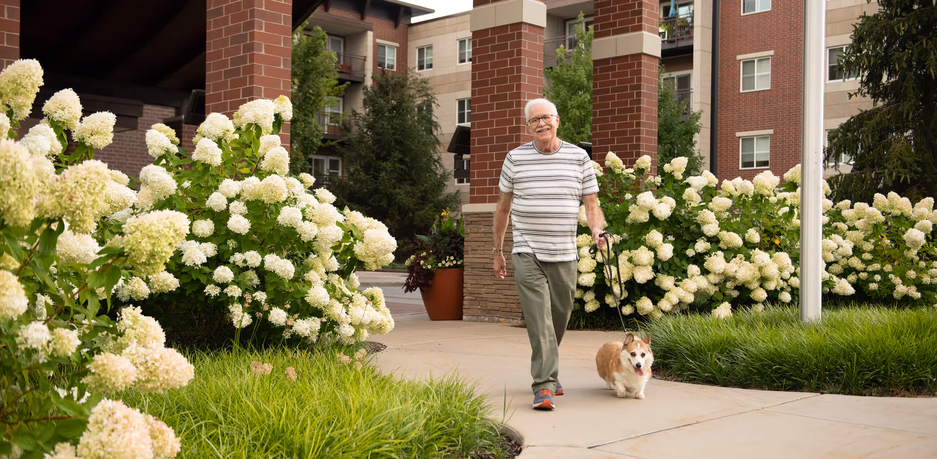 An elderly man wearing a striped shirt and green pants walking a small dog on a leash along a sidewalk surrounded by lush green plants and white flowers in front of a multi-story senior living facility building.