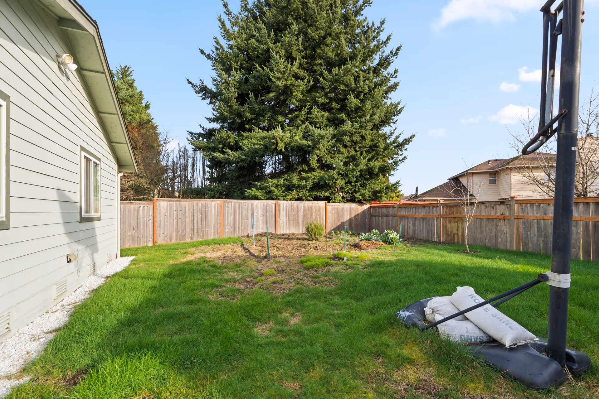 Residential backyard with light-green siding house, wooden fence, large tree, and portable basketball hoop.