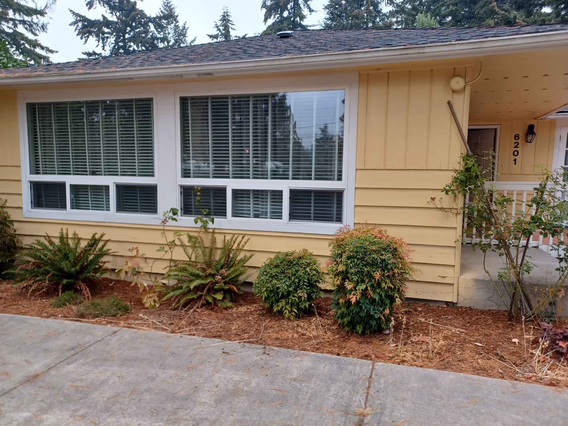 Yellow single-story care home exterior with large front windows and shrubs.