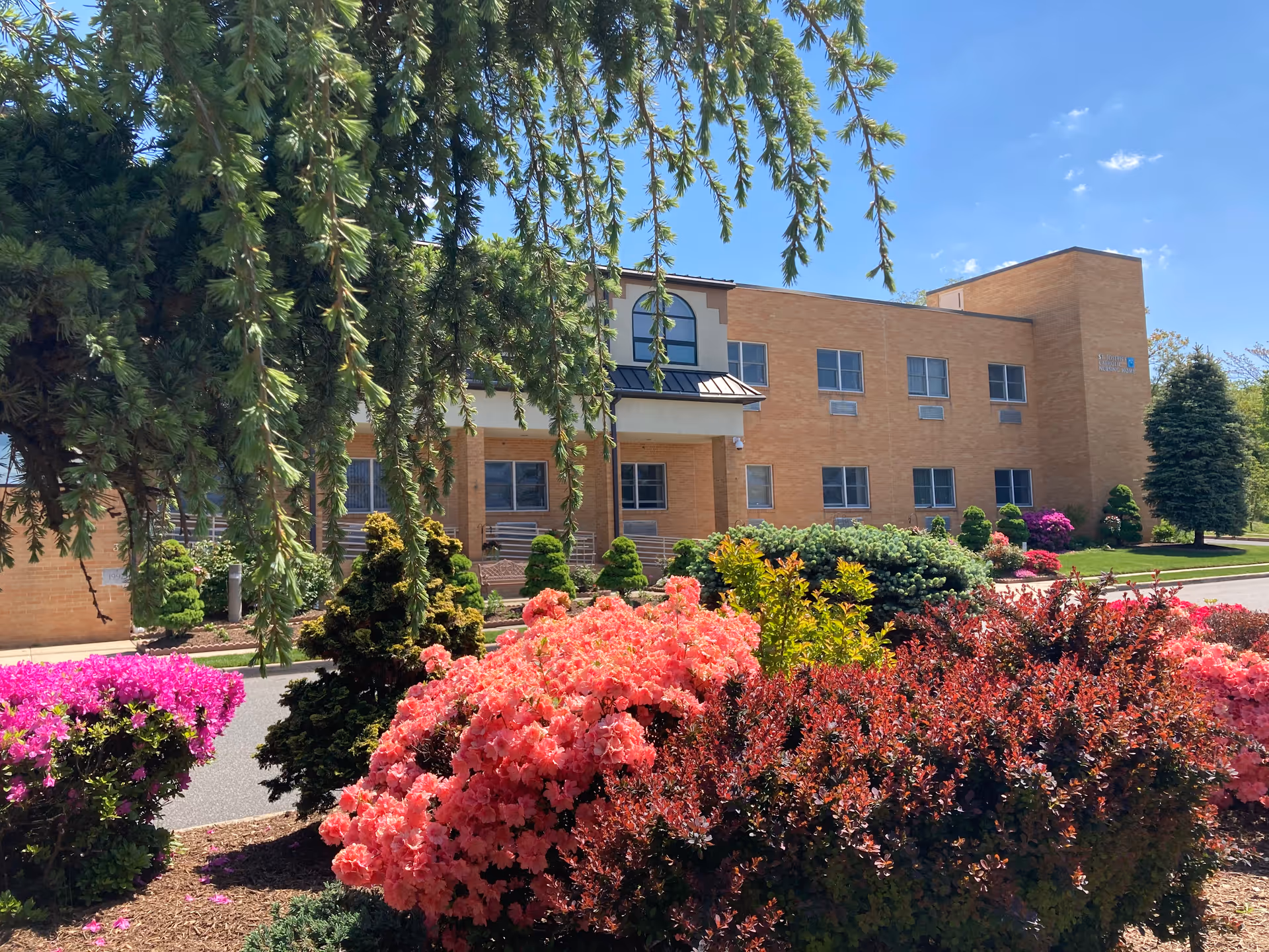 Exterior view of St Joseph's Senior Home - Assisted Living and Nursing Center building with a clear blue sky. The foreground features vibrant flowering bushes and well-maintained landscaping, including various green shrubs and trees.