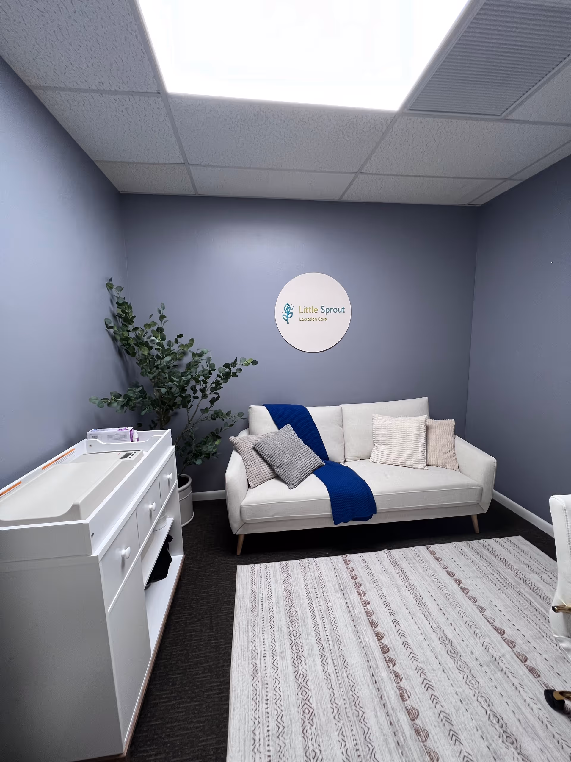 Cozy lounge with a white sofa, blue throw, plant, rug, and Little Sprout sign on wall.