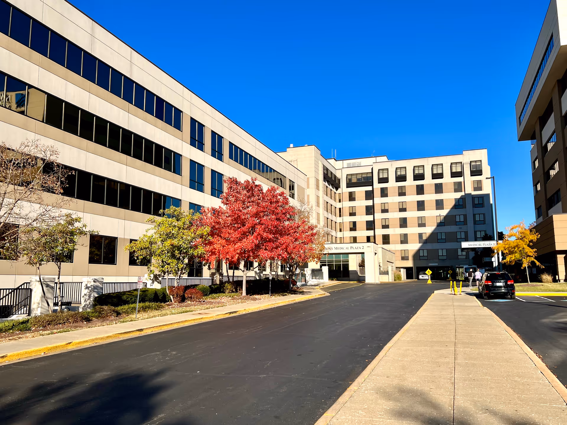 Modern medical plaza exterior with a red tree, blue sky, and driveway to the entrance.