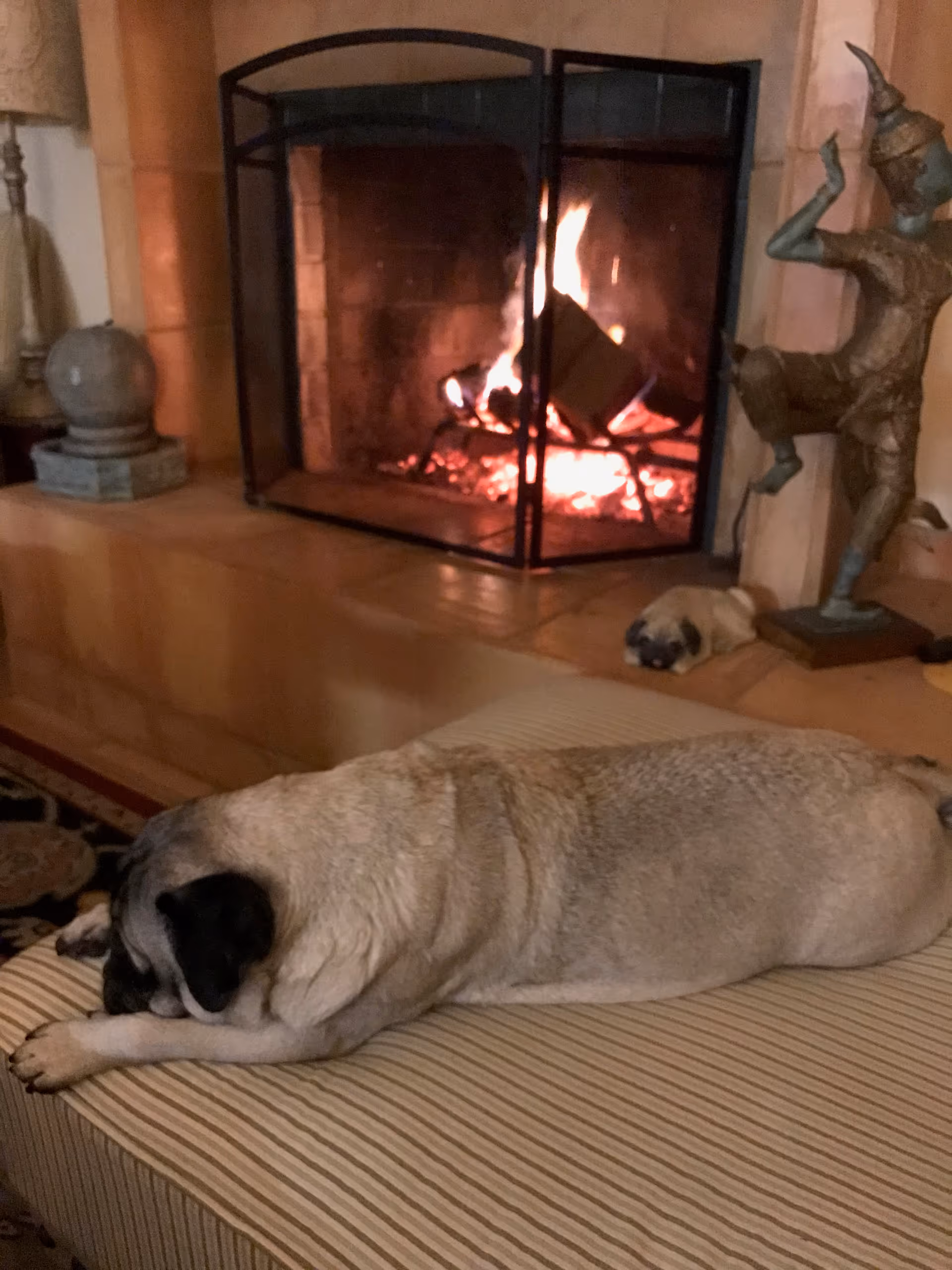 A large dog naps on a striped couch beside a lit fireplace.