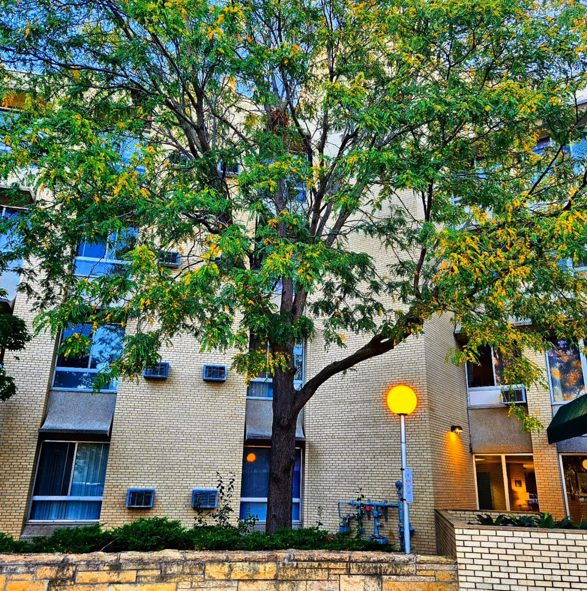 Brick senior living building facade with a green tree in front and a yellow lamp nearby