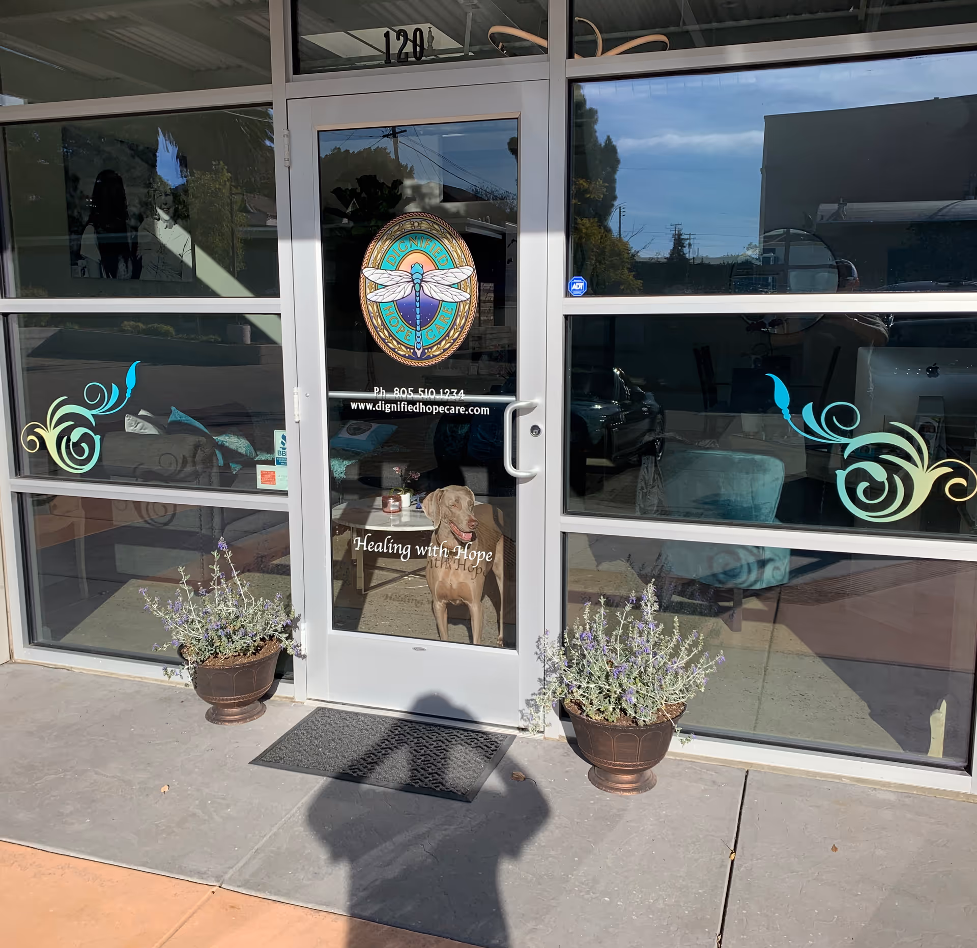 Entrance to Dignified Hope Care building with glass doors, logo, and potted lavender outside.