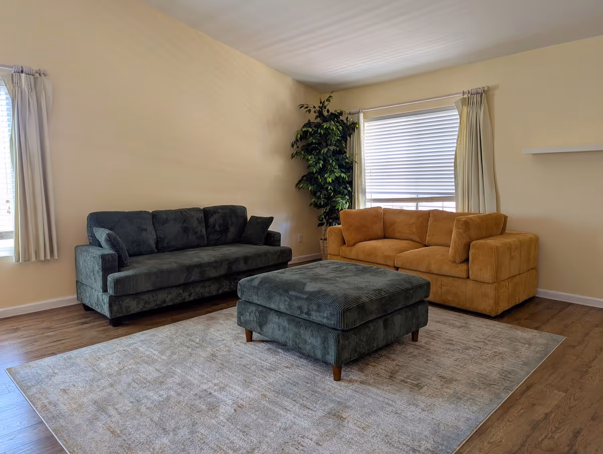 A cozy living room with two sofas, an ottoman, rug, plant, and windows.