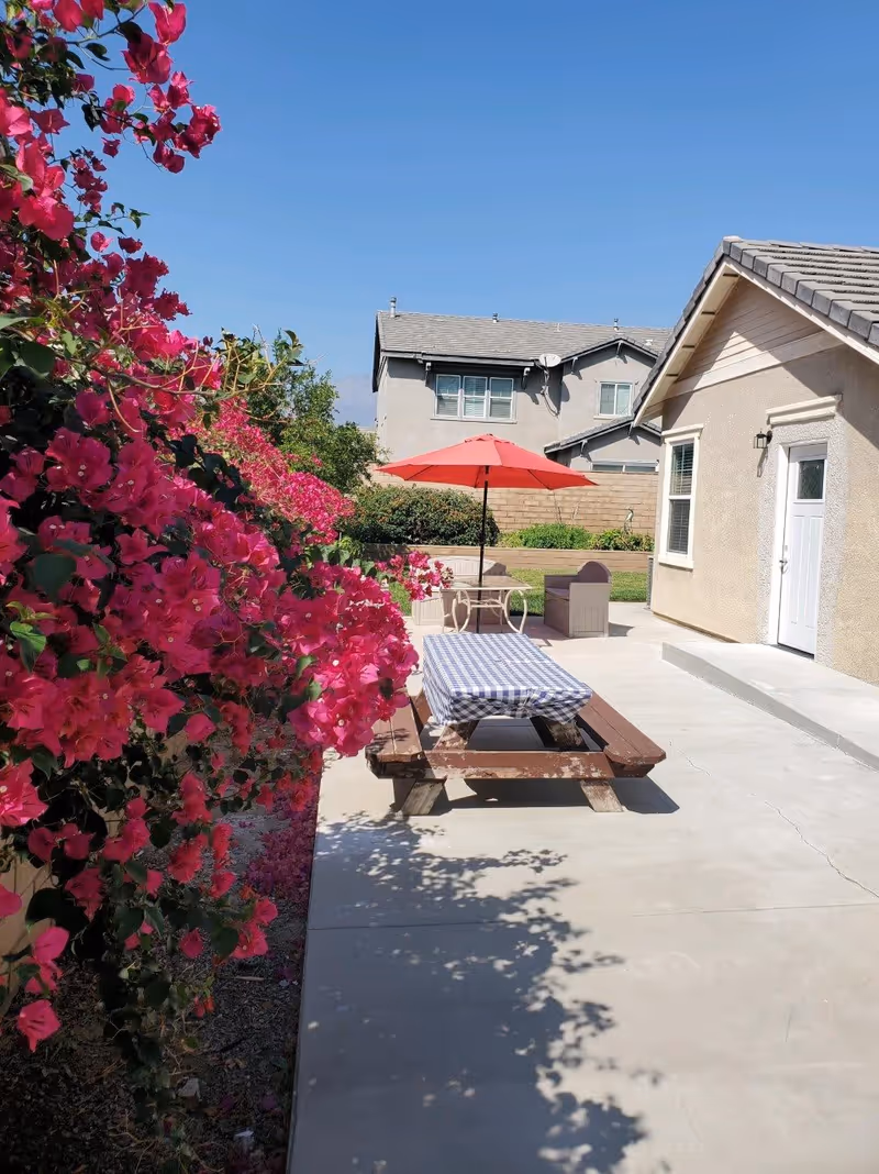 Outdoor patio with bright pink bougainvillea, a picnic table covered by a checkered cloth and a red umbrella next to residential buildings.
