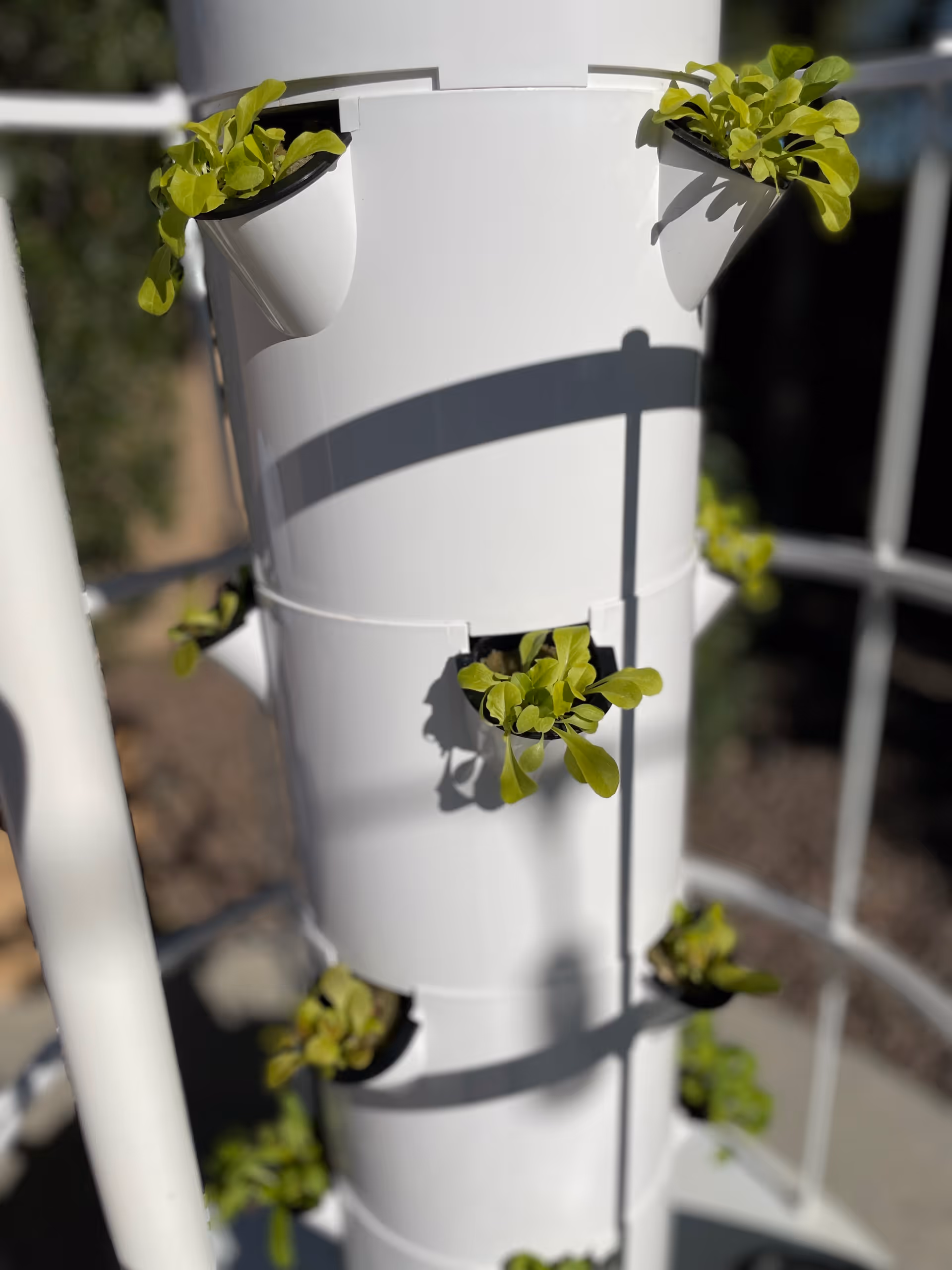 Close-up of a white vertical planter tower with green sprouts on a balcony outdoors
