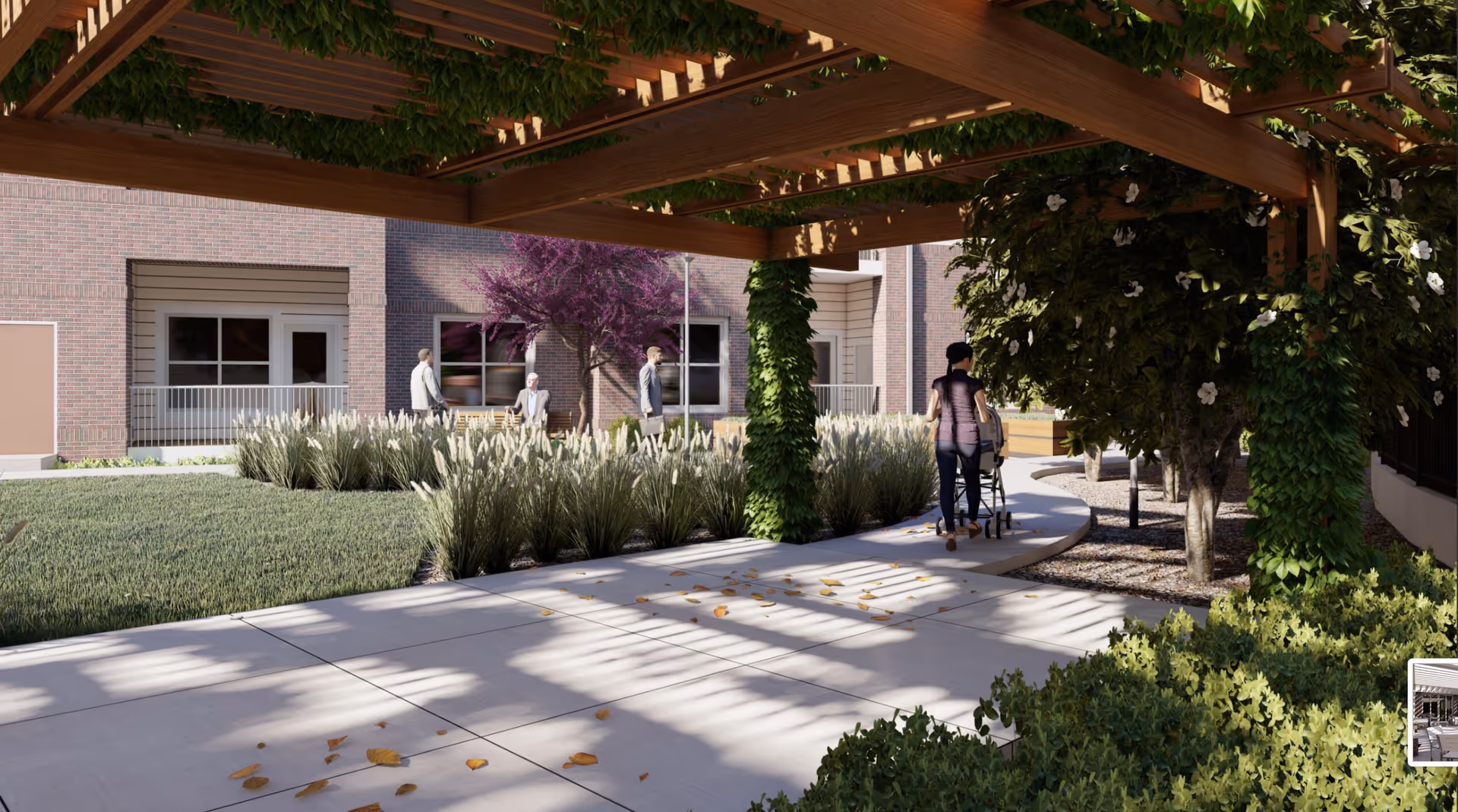 Outdoor garden area at Acclaim at Cary Pointe featuring a wooden pergola with green vines, a paved walkway with scattered leaves, various bushes and ornamental grasses, and a few people walking and sitting near a brick building with windows.