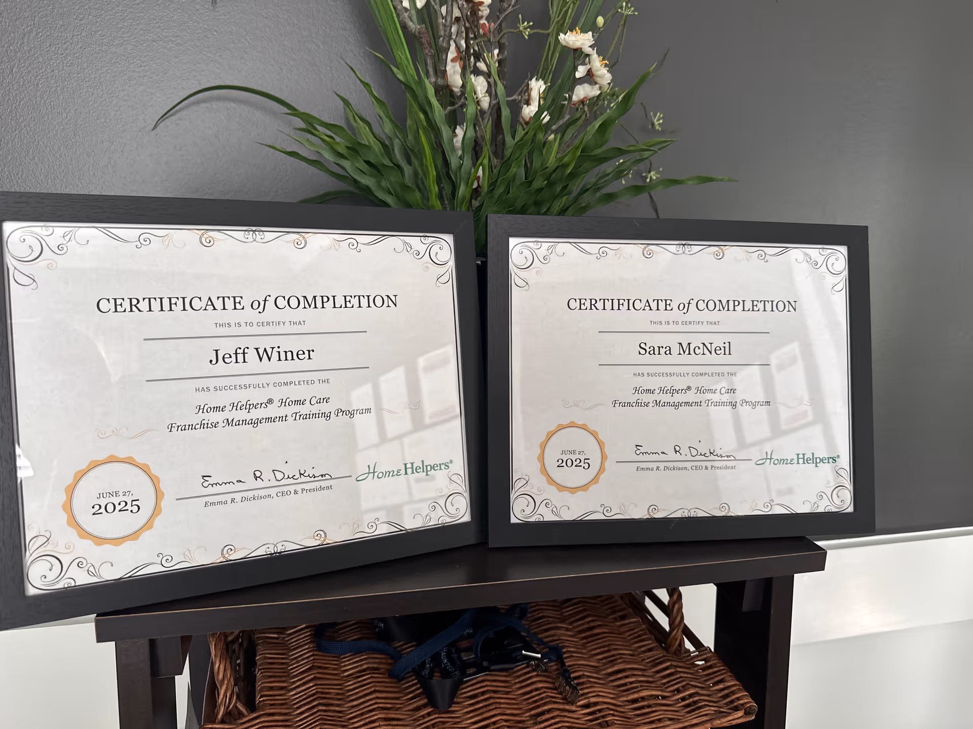 Two framed certificates on a shelf with a plant behind them.