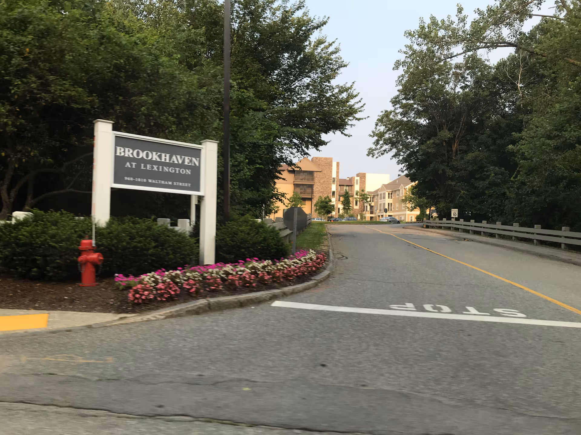 Brookhaven at Lexington entrance: road, sign, flowers, trees, and distant buildings.