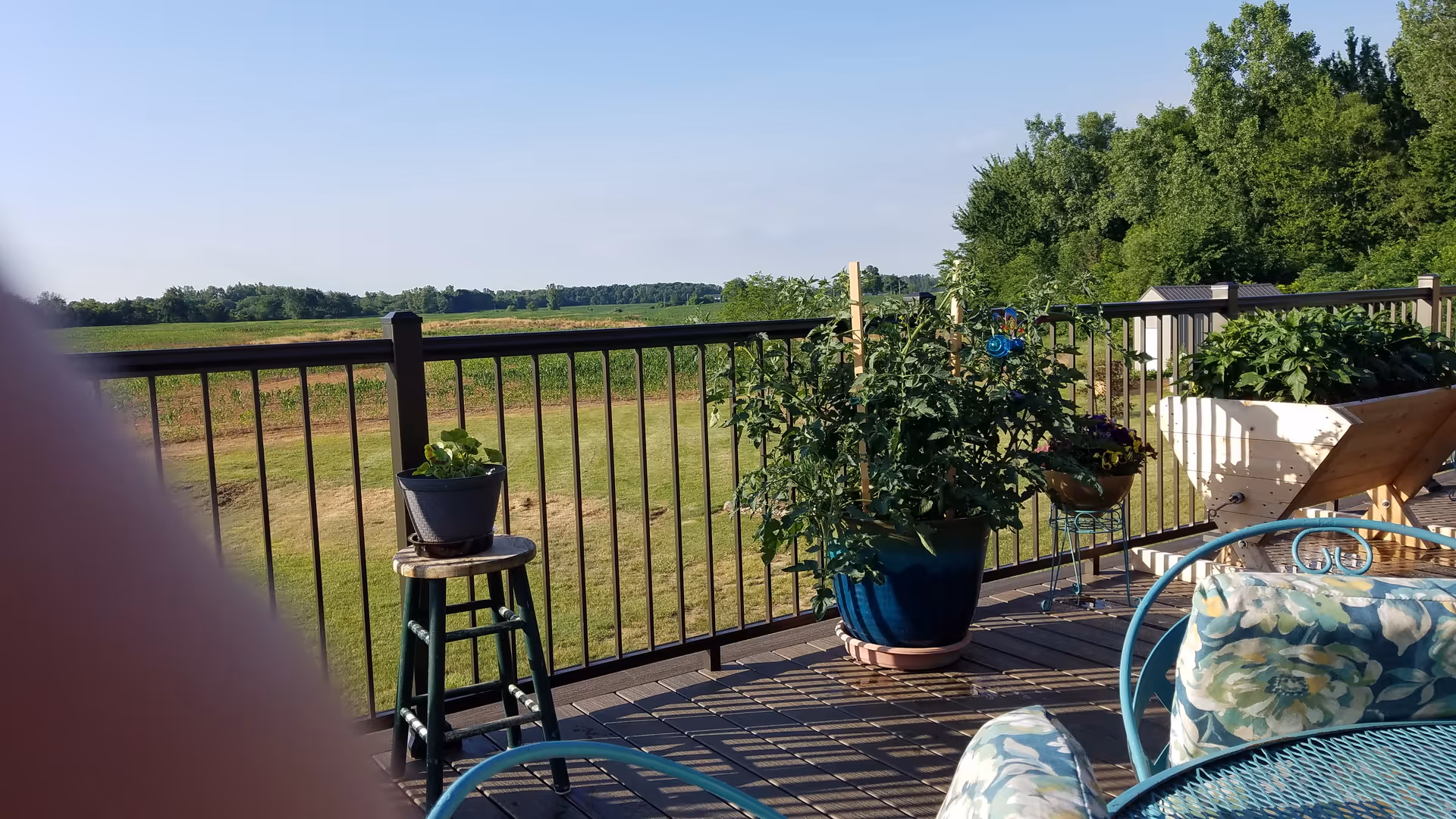 Outdoor balcony with potted plants and seating overlooking a grassy field.