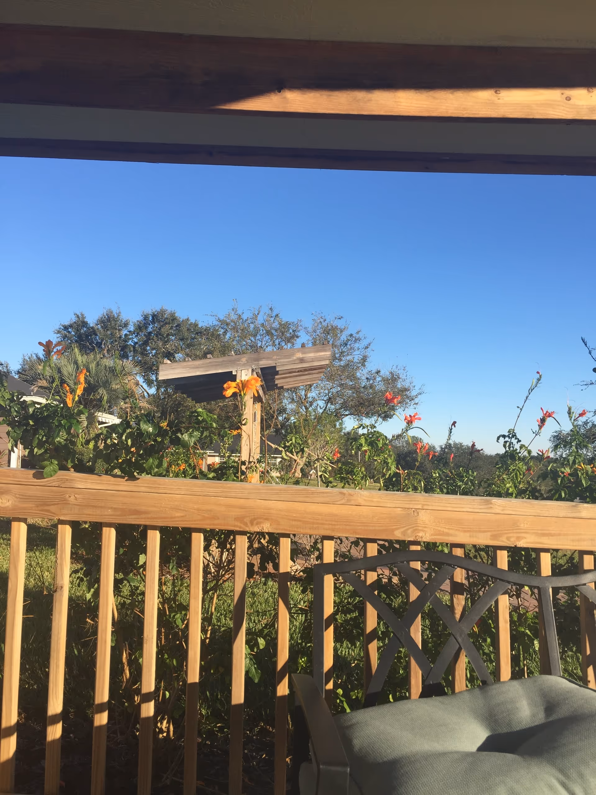 Outdoor deck with wooden railing, flowering plants, and patio chairs under a clear blue sky.