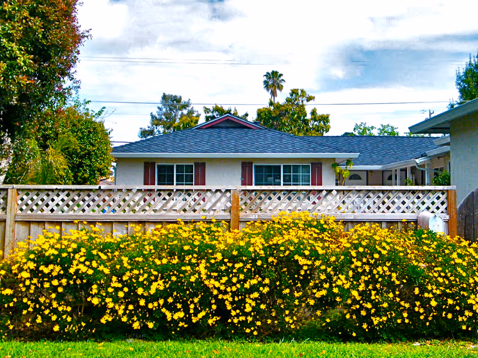Residential house exterior with a wooden lattice fence and bright yellow flowers in front.