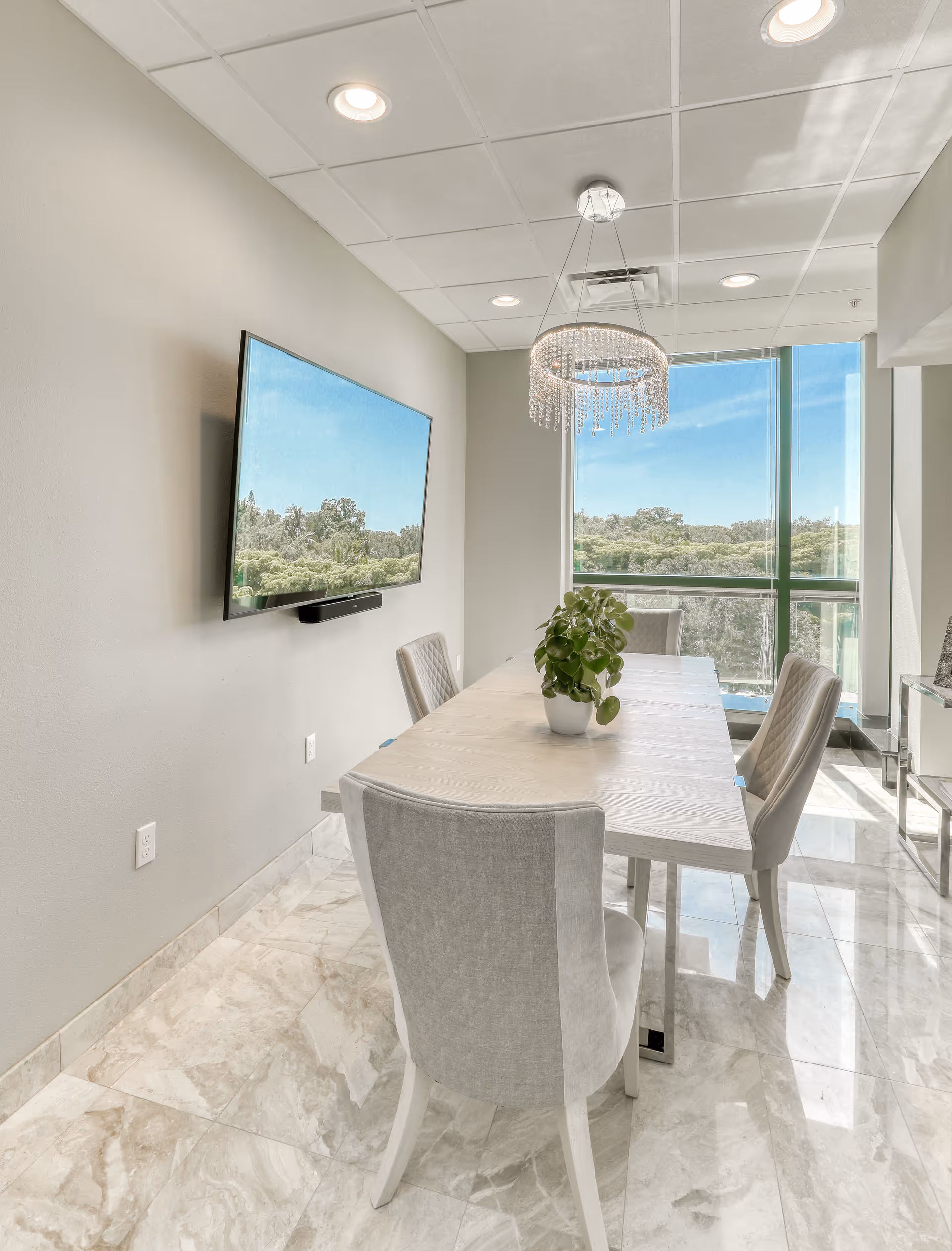Bright dining room with long table, chandelier, TV, plant, and large windows.