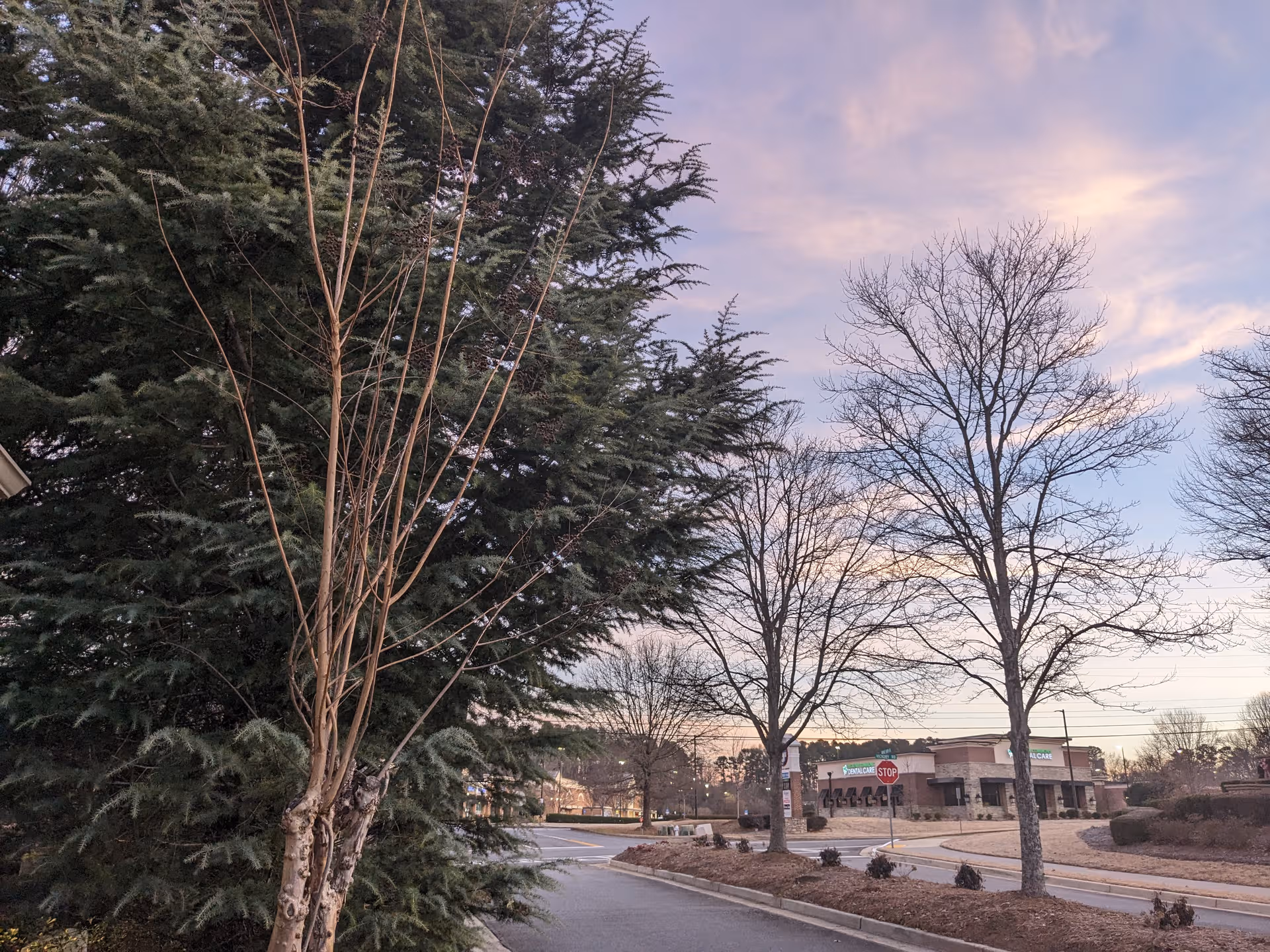 Exterior view of Orchards at East Cherokee Retirement Community with trees along a street.