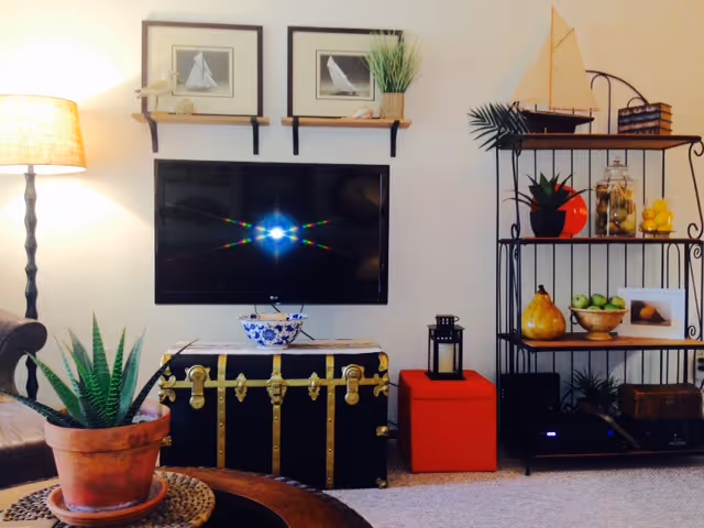 Cozy living room corner with a wall-mounted TV above a black and gold trunk, shelving unit with decorative items, a floor lamp, potted plants, and a coffee table.
