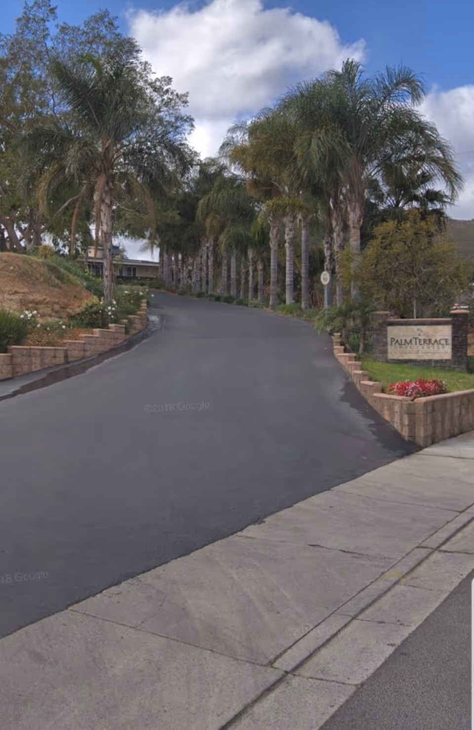 Paved entrance road lined with palm trees leads to Palm Terrace Care Center sign