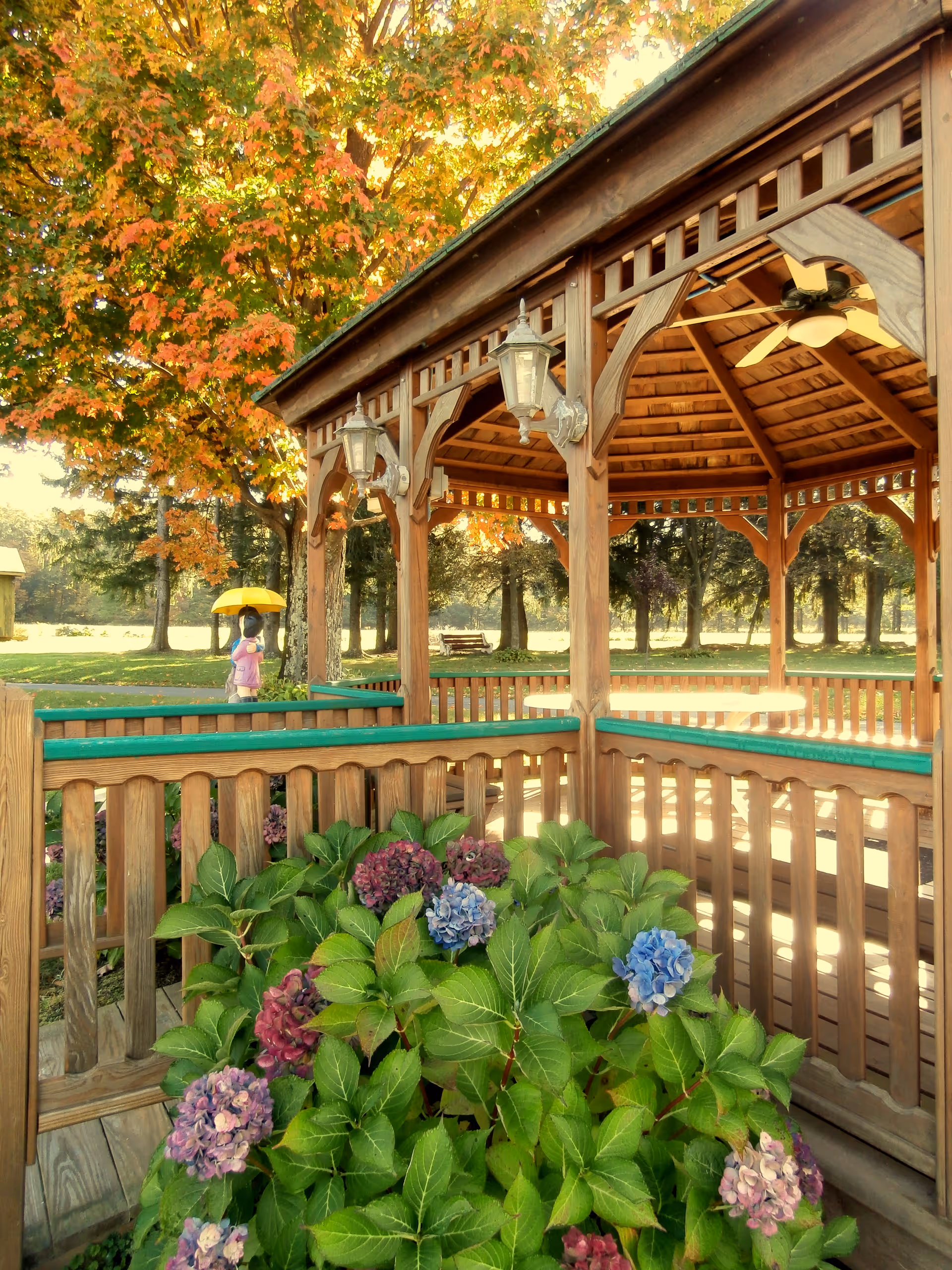 Wooden gazebo with hanging lamps, hydrangeas, and autumn trees in a sunny outdoor garden.