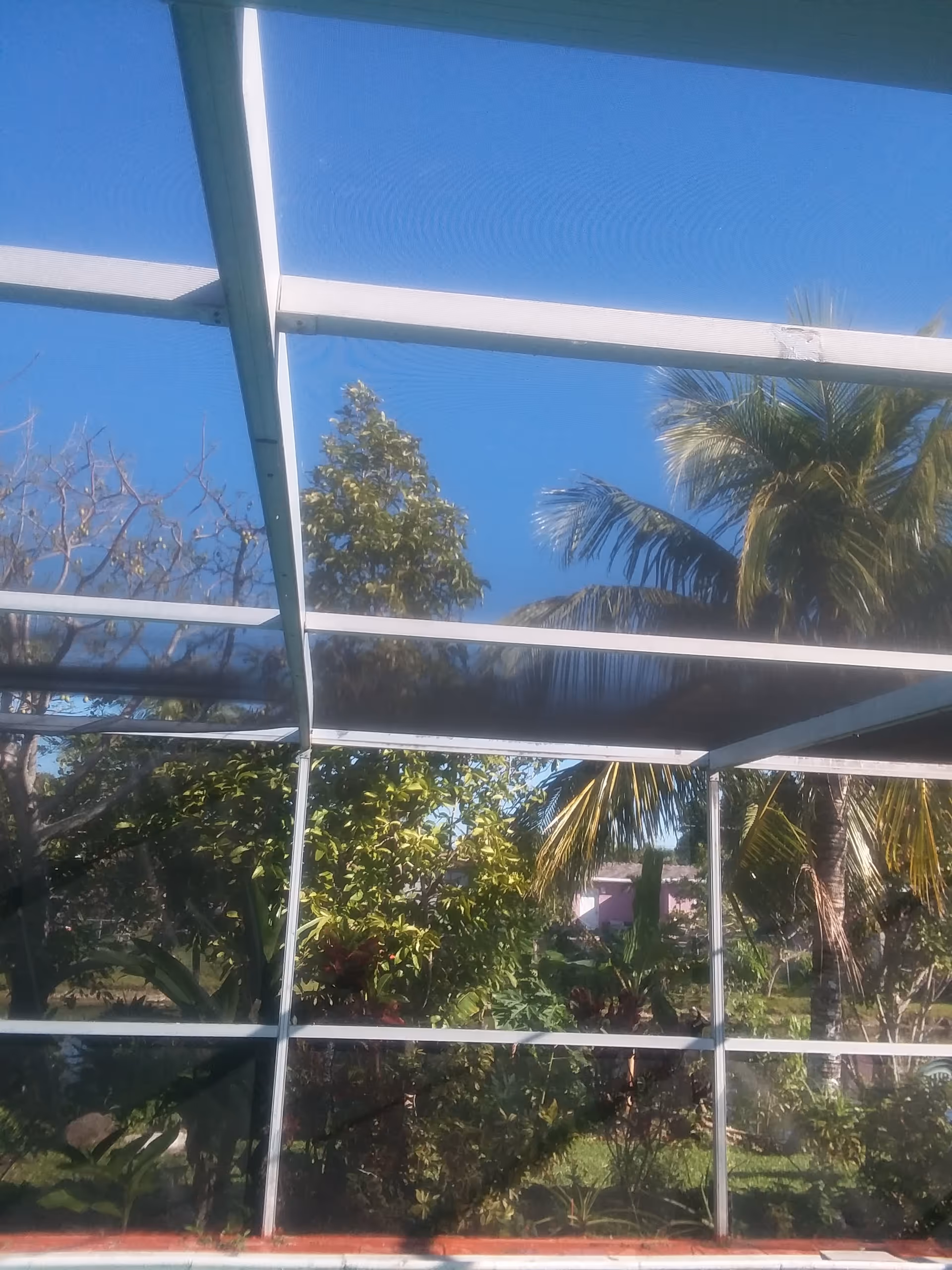 View of a metal-framed screened outdoor enclosure with trees and blue sky.