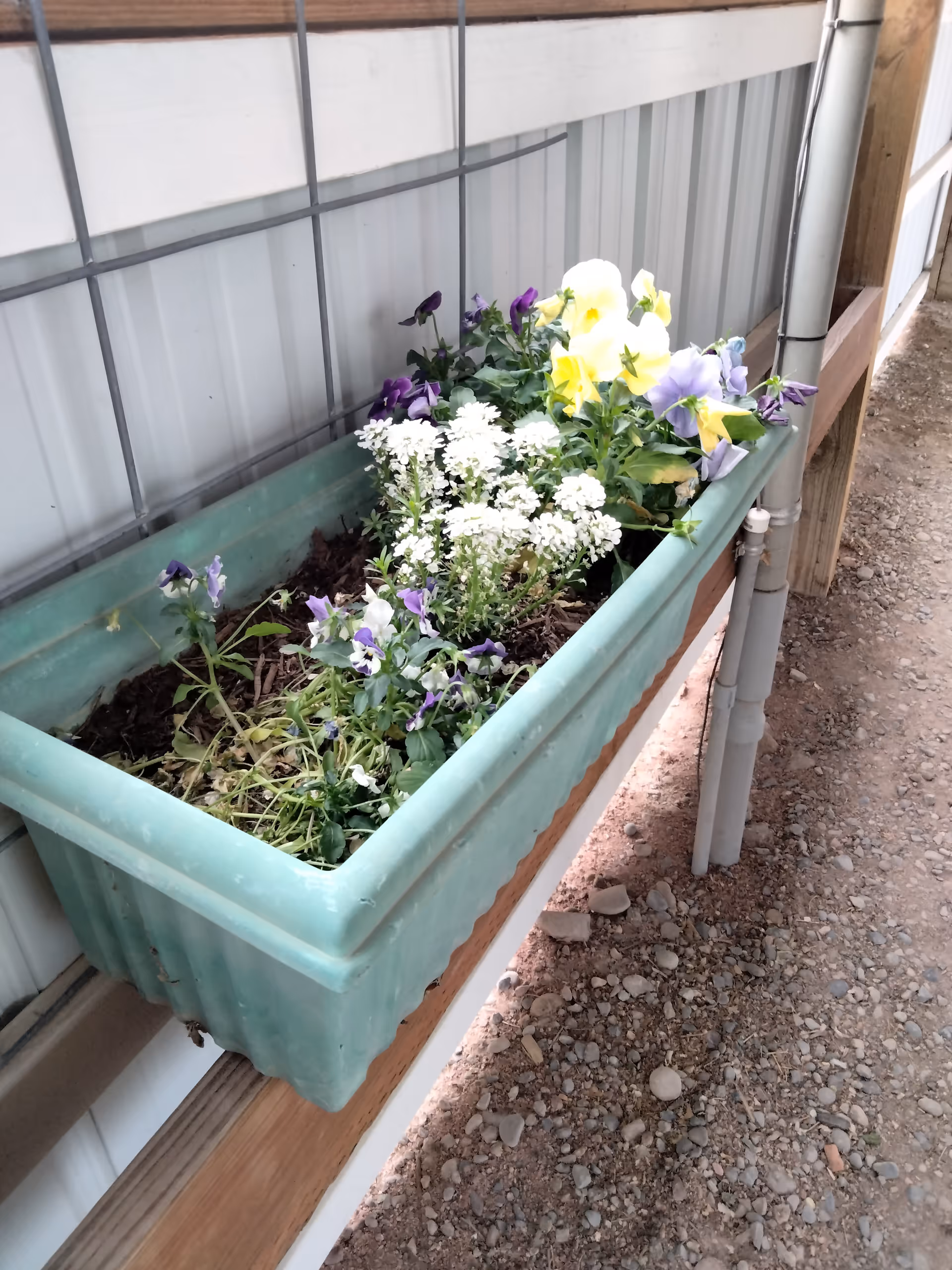 A green exterior planter filled with colorful flowers along the building wall.