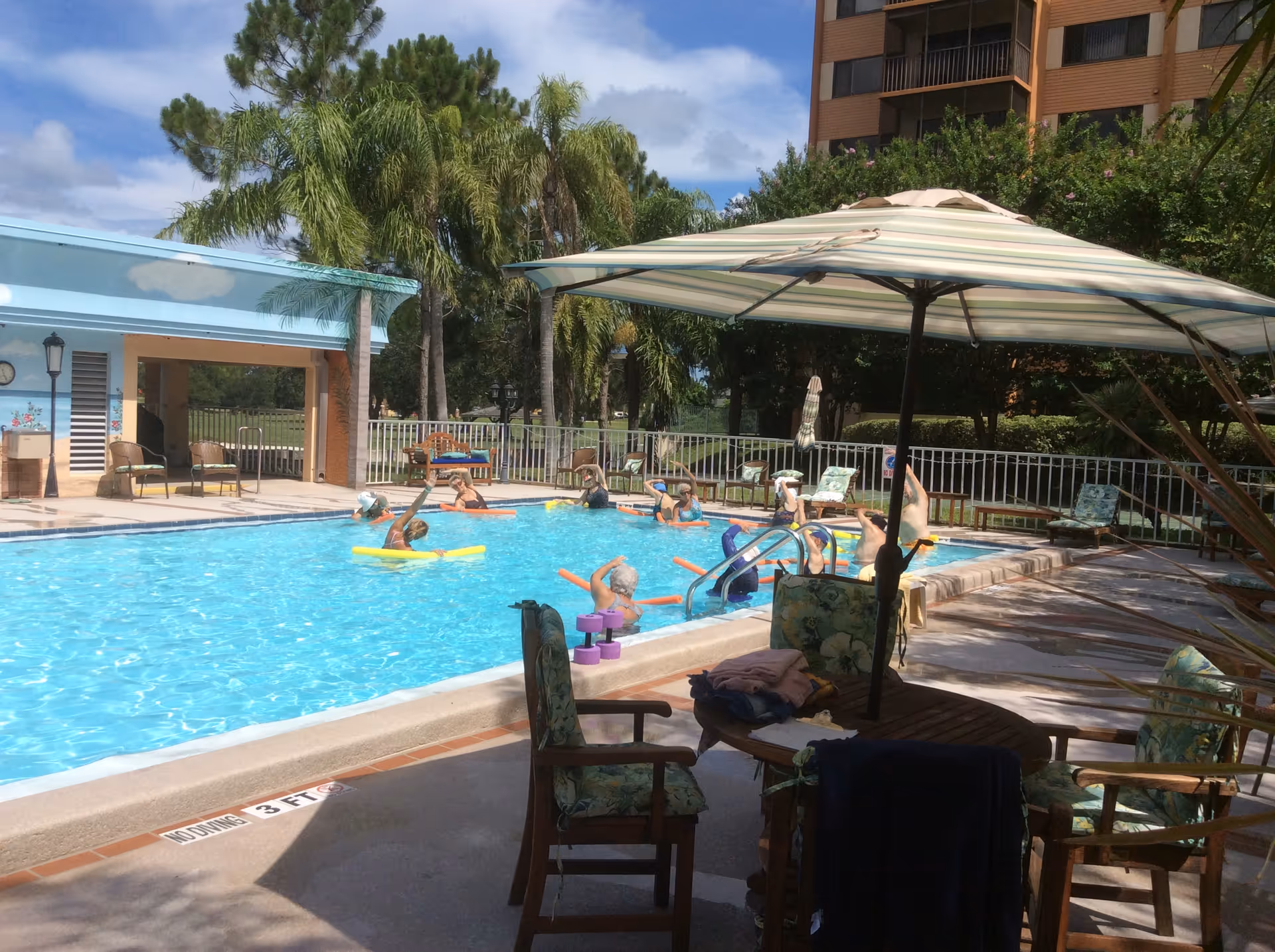 Outdoor pool area at Elison Senior Living of Pinecrest with residents swimming and lounging