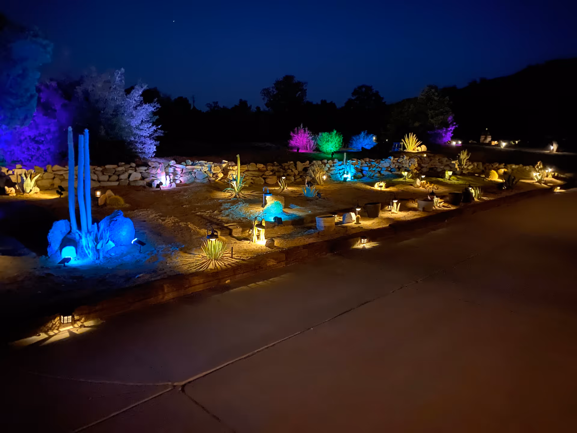 Nighttime outdoor desert garden with multicolored lights along the walkway.