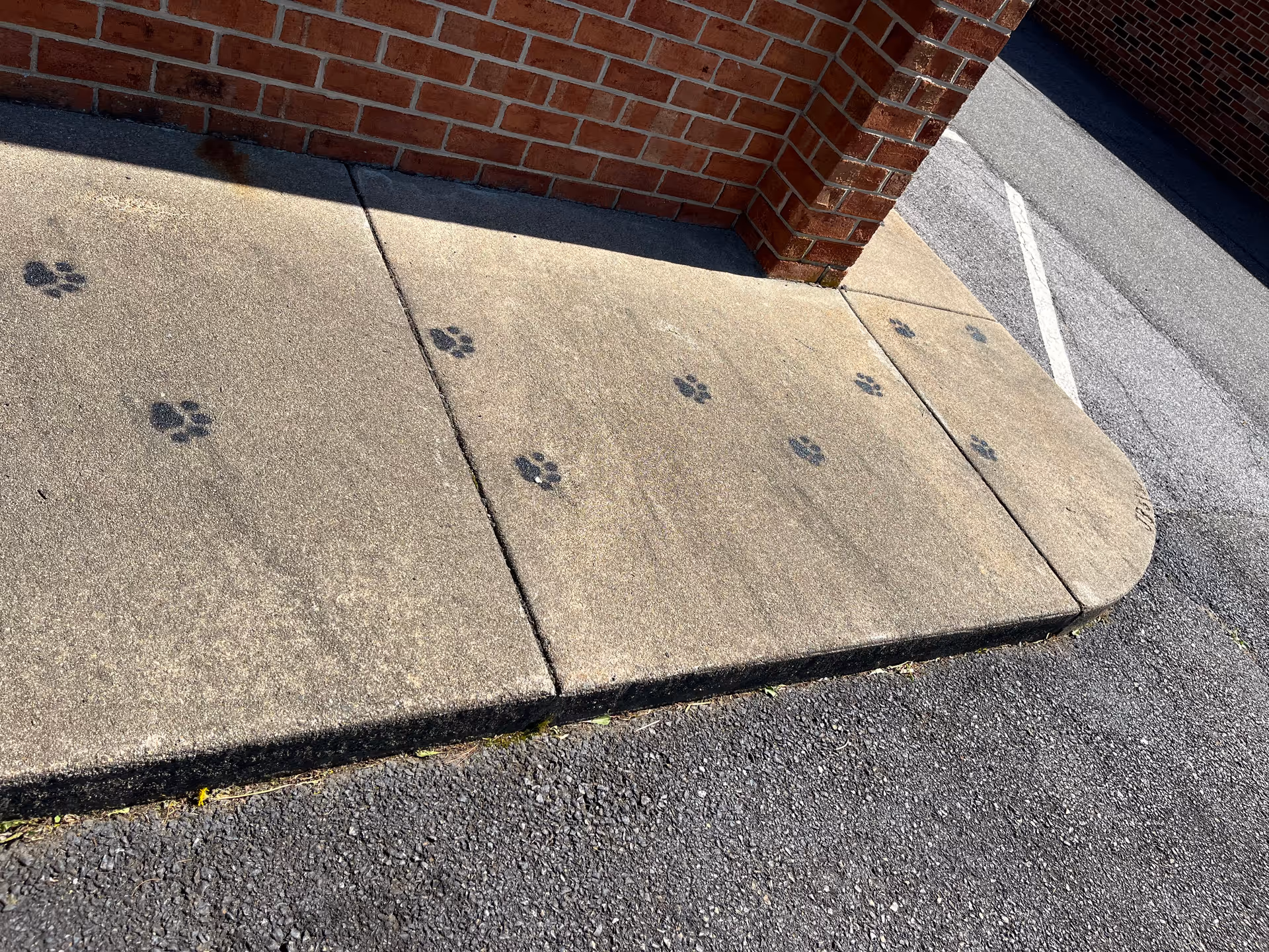 Concrete sidewalk with dog paw prints along a brick building exterior.