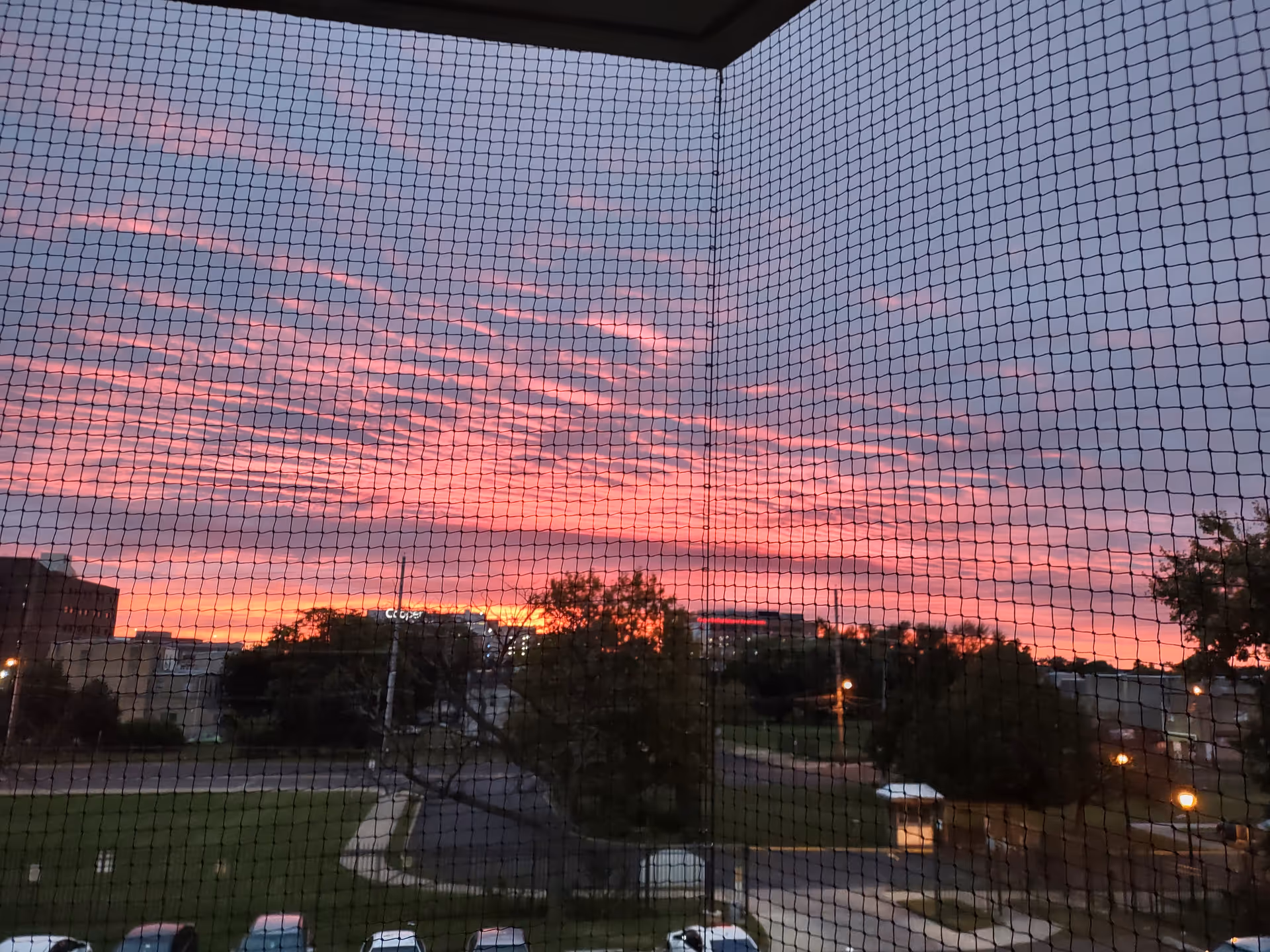 Sunset over a campus with trees and buildings, viewed through a safety net.