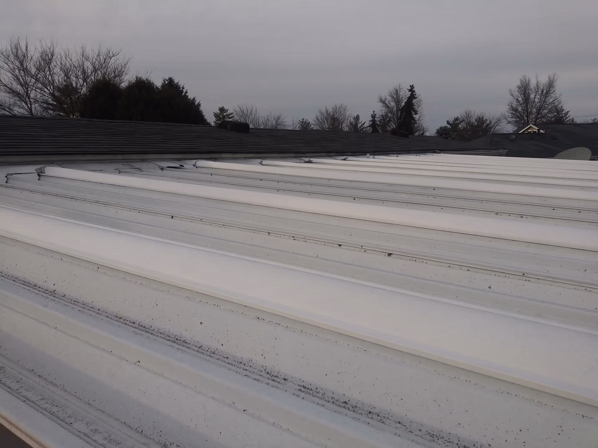 Overcast exterior shot of a white metal roof with trees and sky.