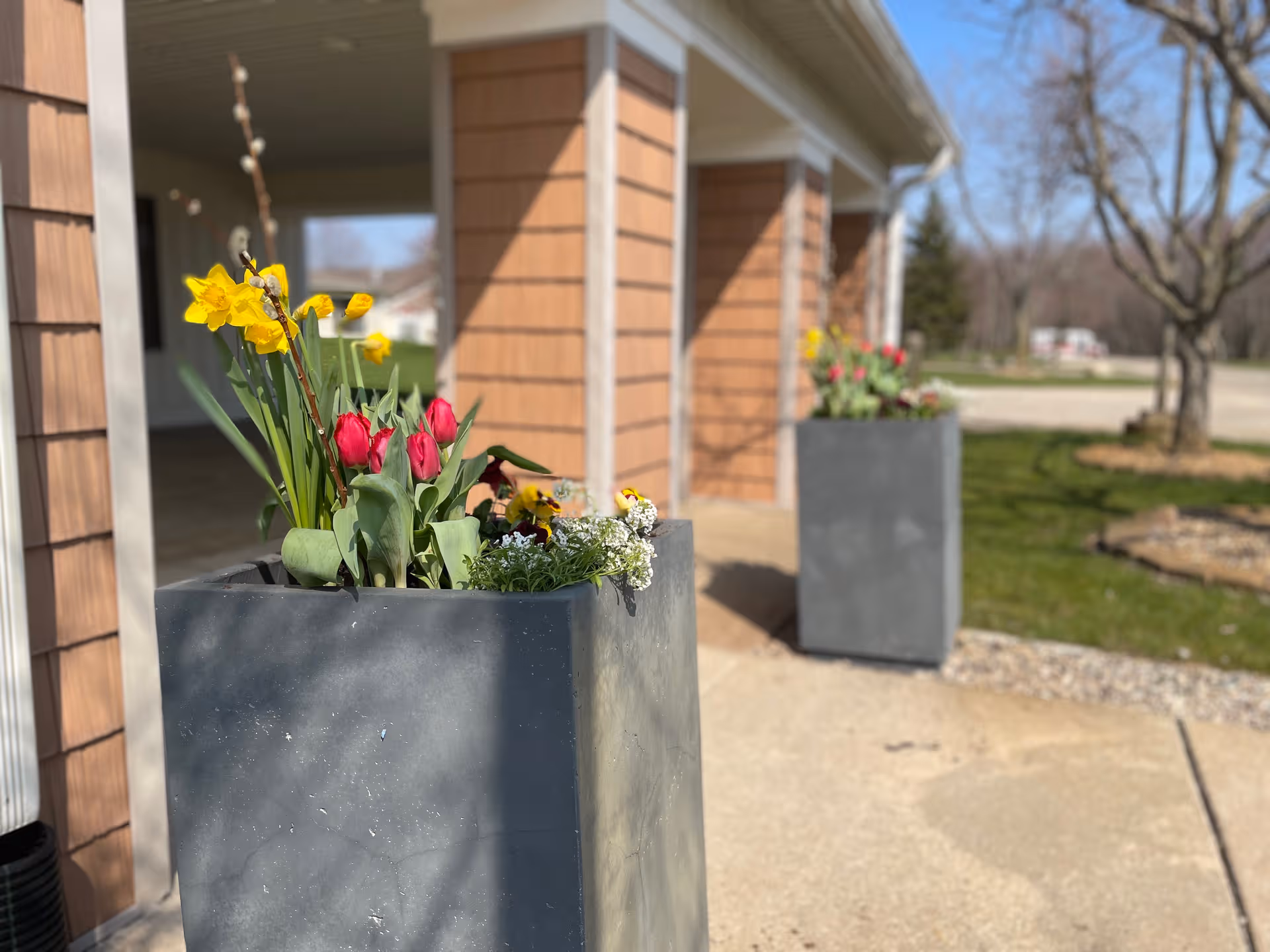 Colorful flowers in large gray planters along a building entrance.