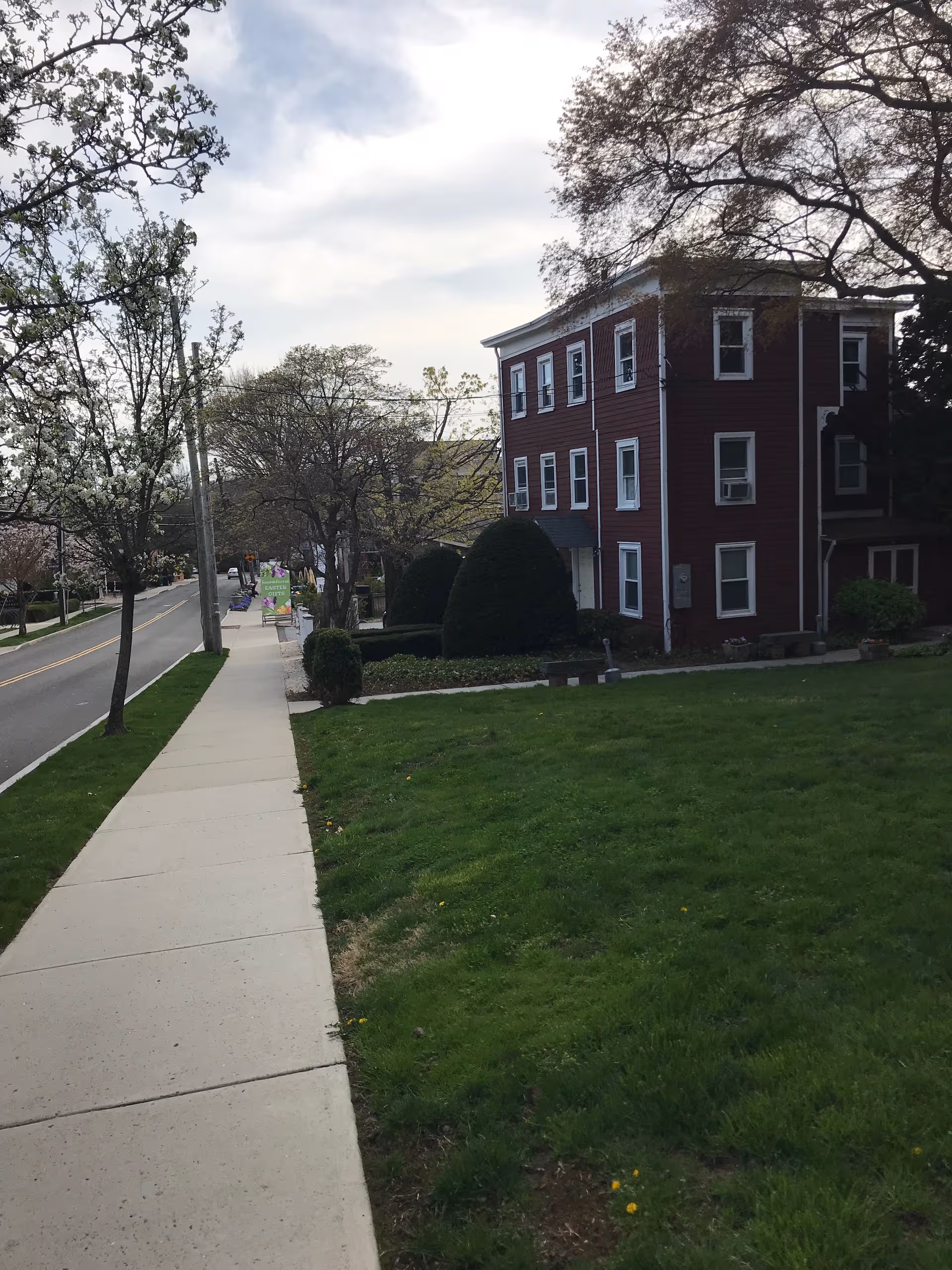 The Mews senior living building along a sidewalk beside a tree-lined street.
