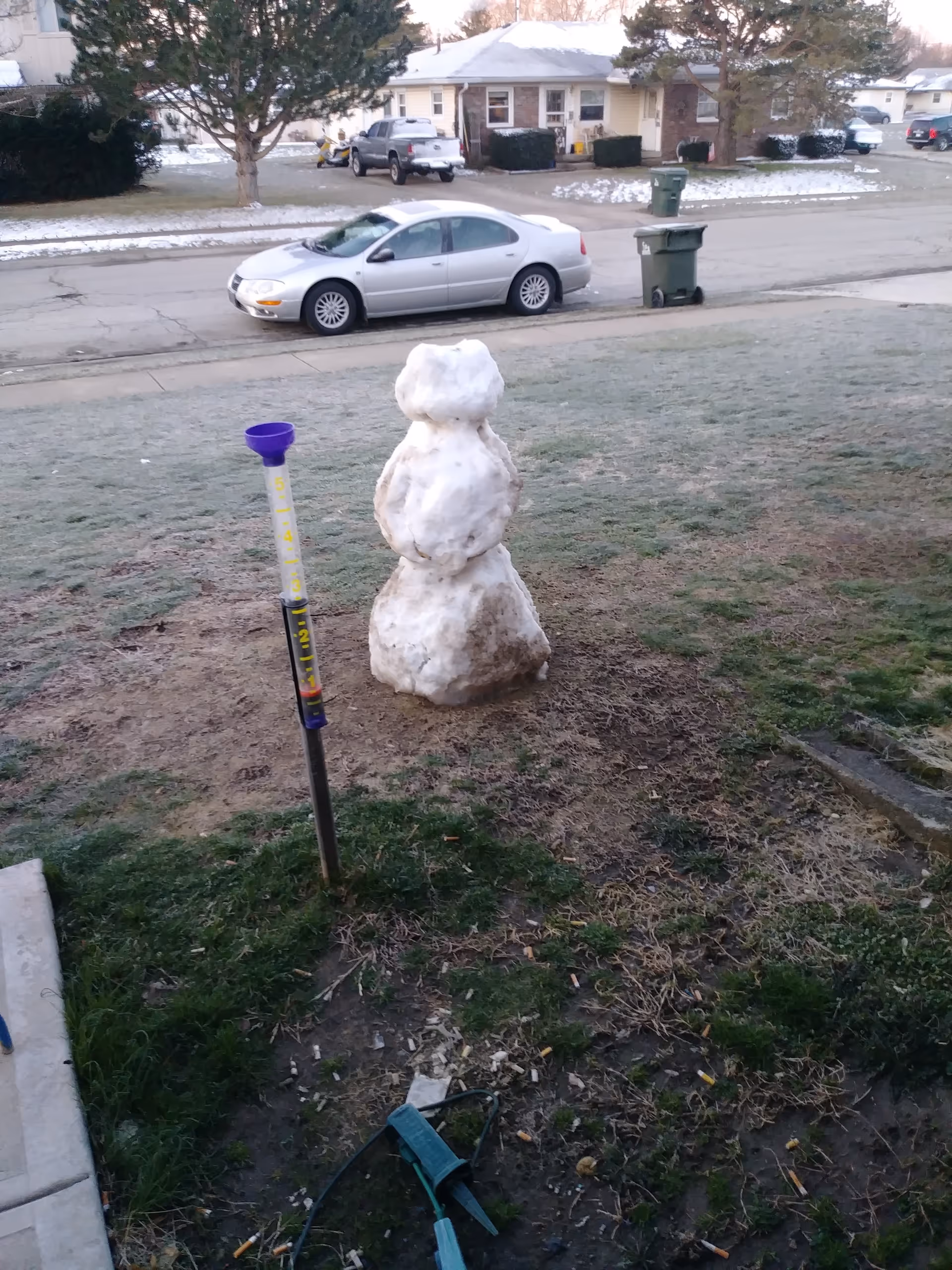 Snow sculpture on a grassy lawn with a parked car, street, and houses in the background.