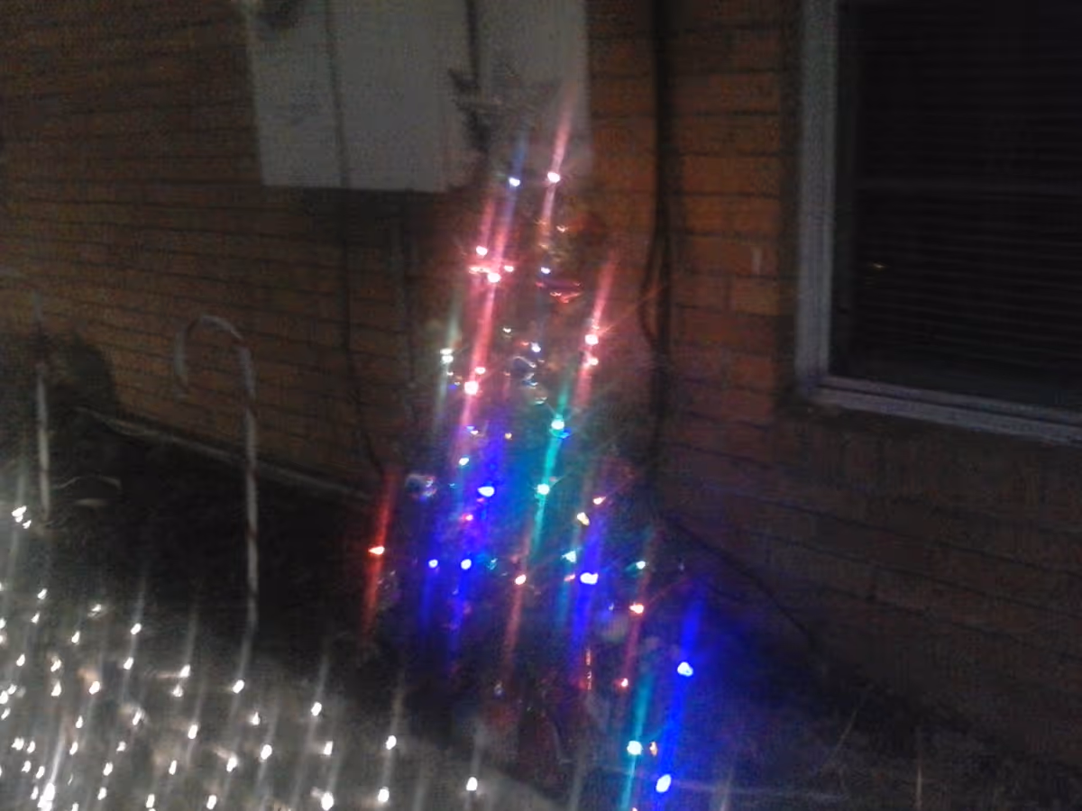 Exterior brick wall with a small illuminated tree and colorful string lights outside.