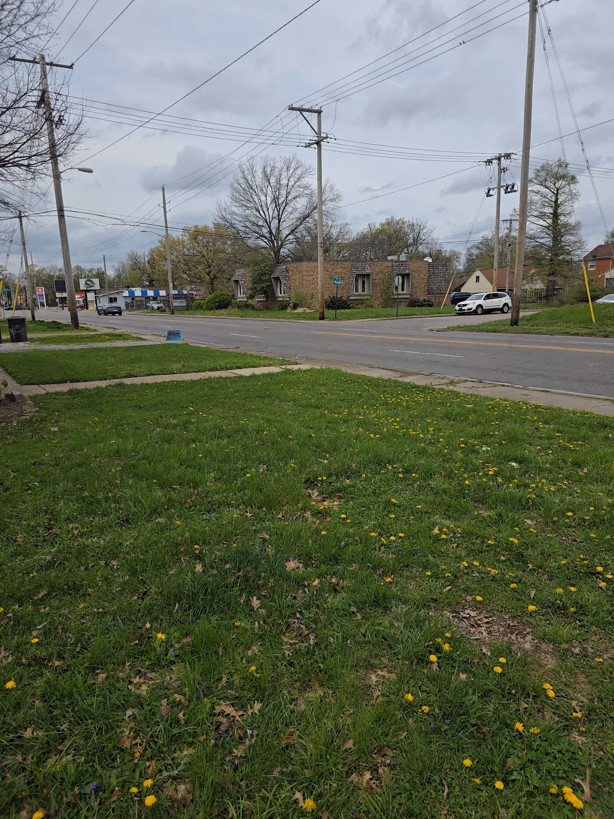 Grassy foreground along a street with power lines and brick houses in the distance.