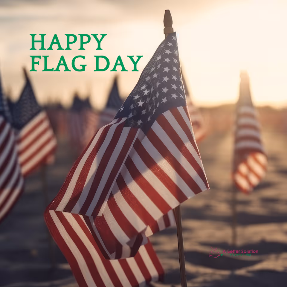 Rows of American flags planted in a field with a Happy Flag Day overlay.